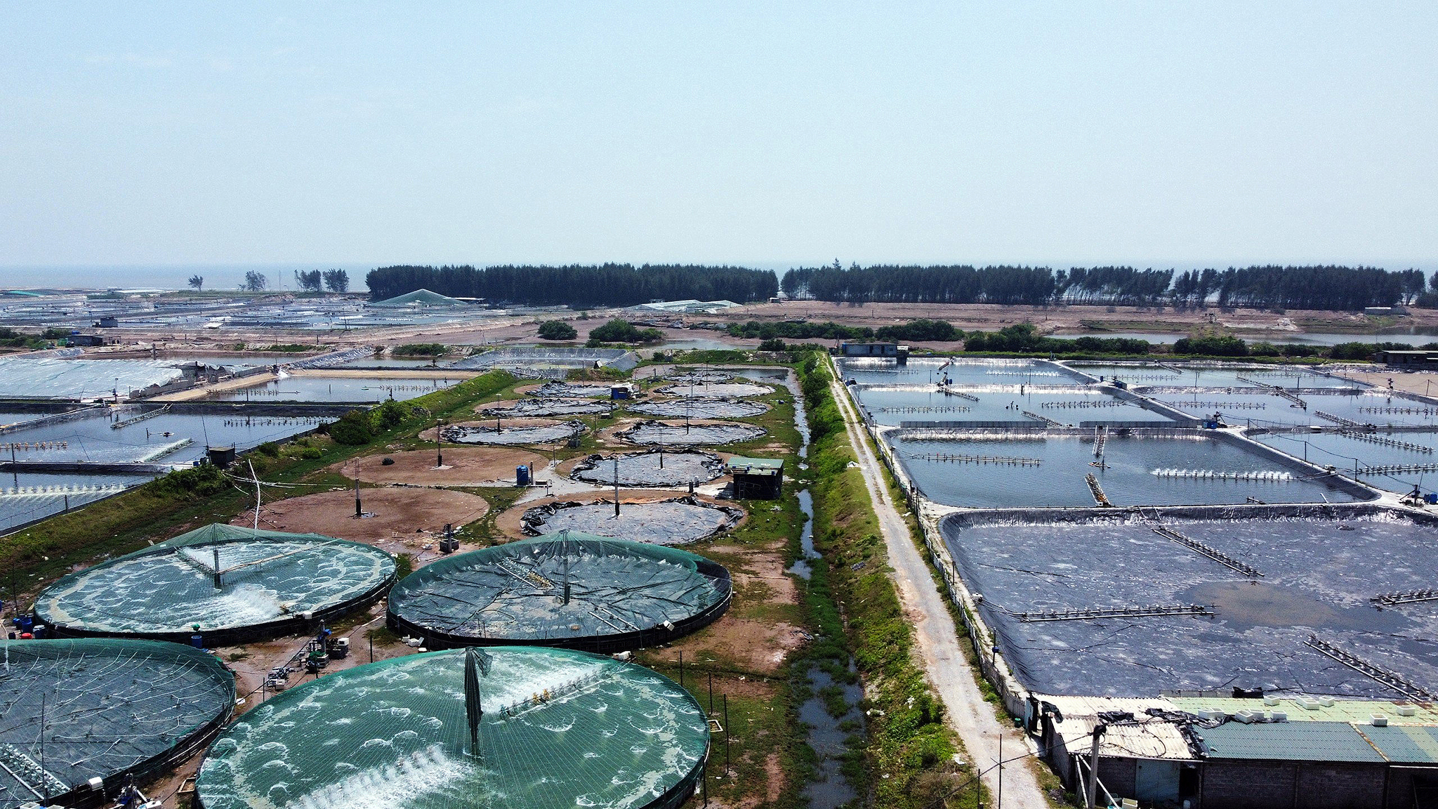 Top 3 mô hình nông nghiệp công nghệ cao tiết kiệm chi phí tại Việt Nam