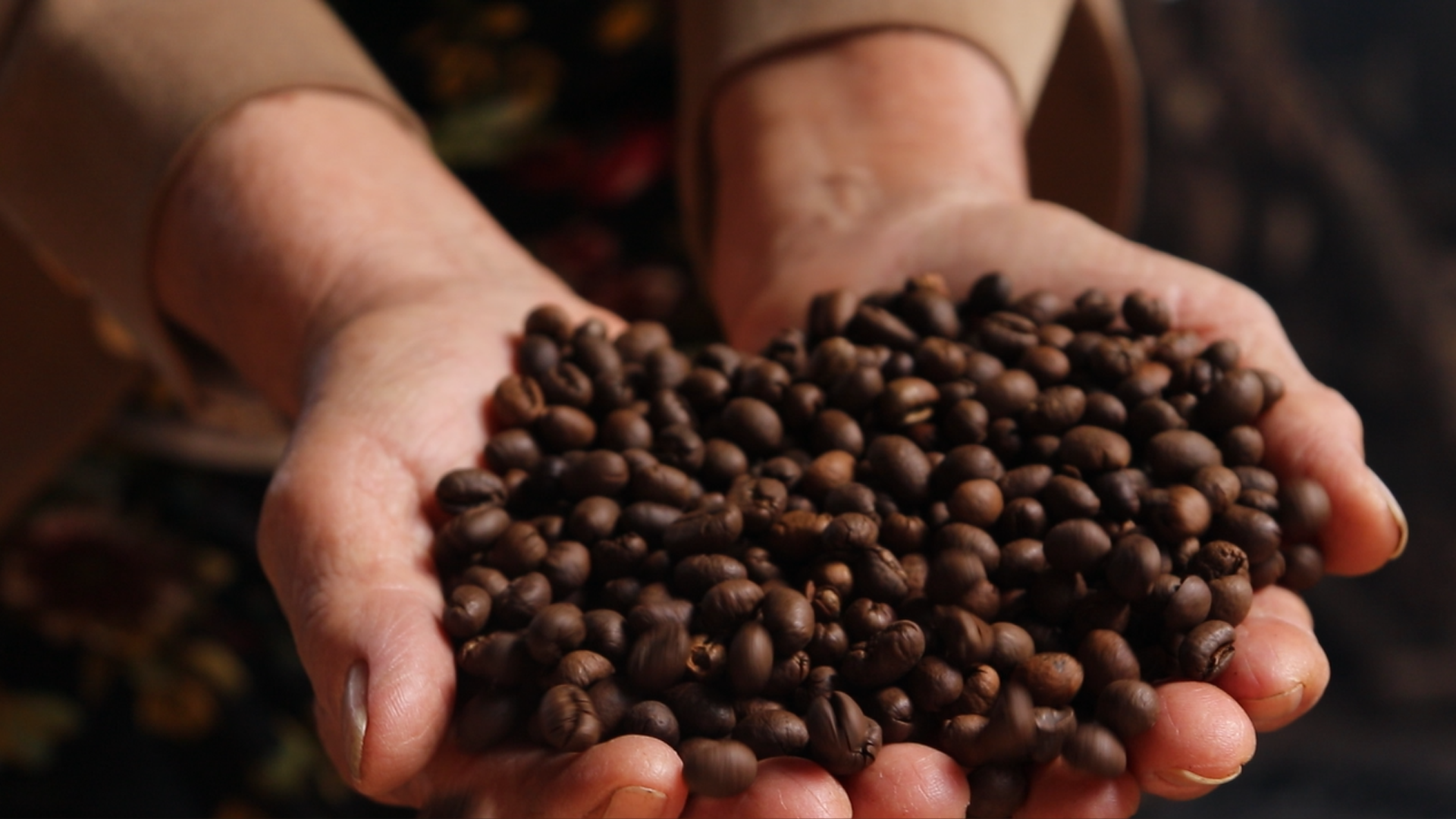 Gầy dựng thương hiệu cà phê rang củi nức tiếng Đắk Lắk từ số vốn 0 đồng