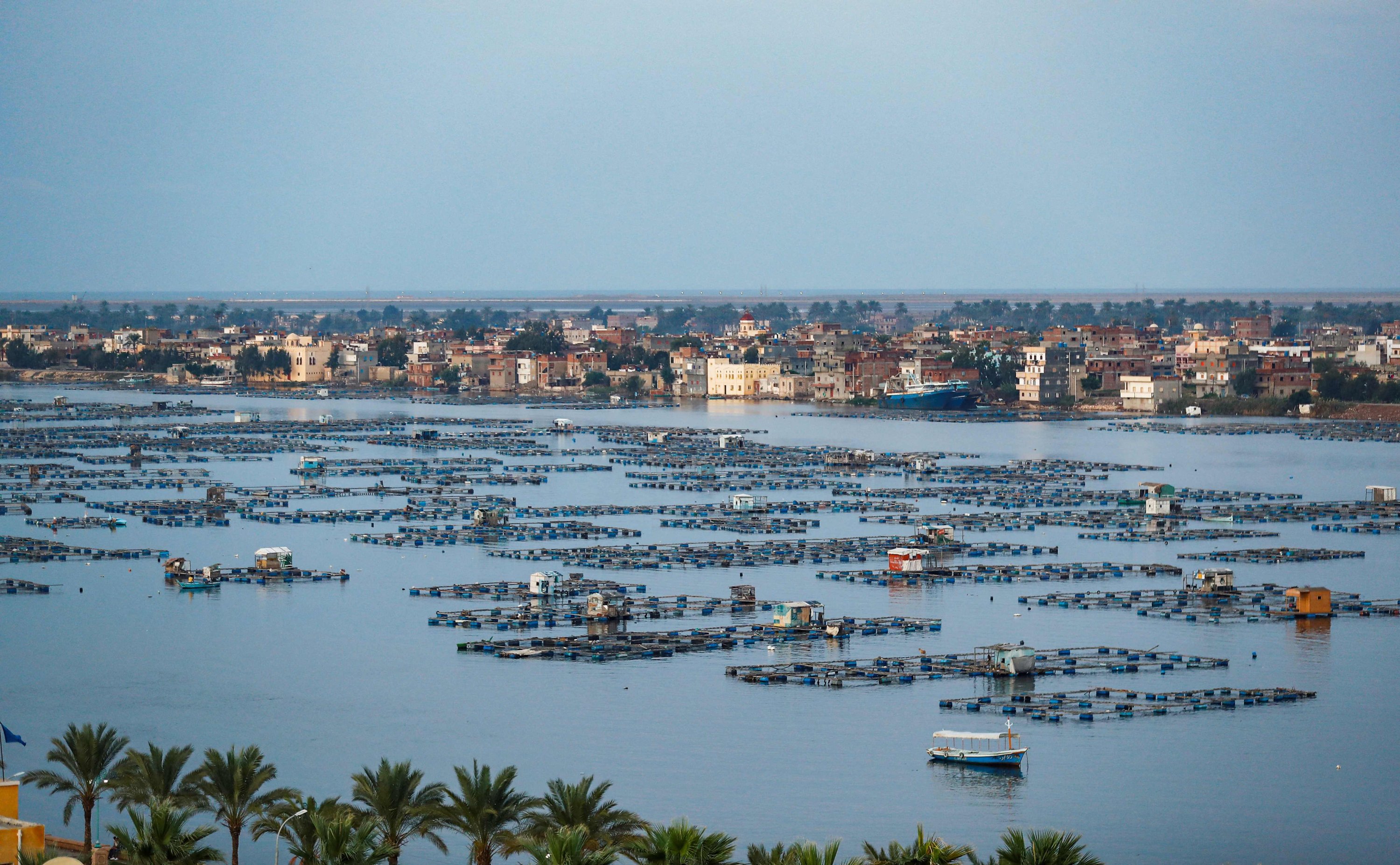 Sông Nile - huyền thoại linh thiêng đang dần 'héo mòn'