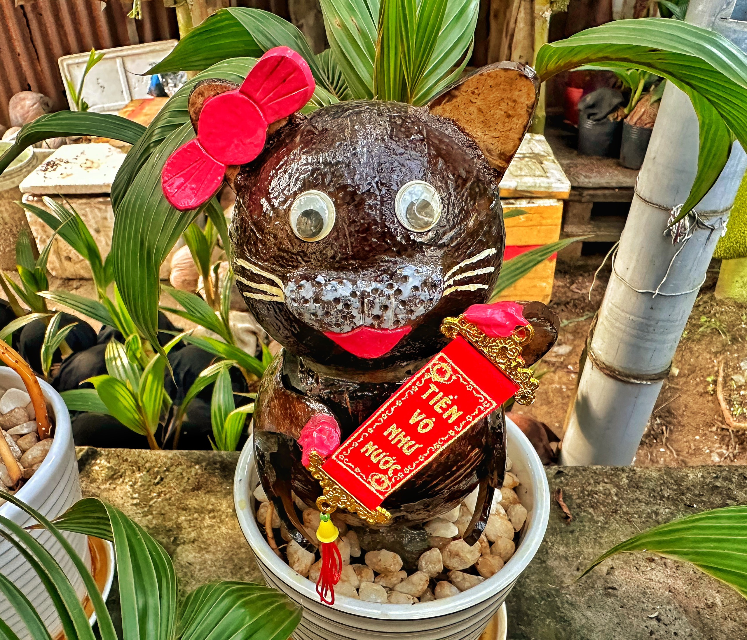 Thưởng thức nghệ thuật tao hình dừa Bonsai đã là một trải nghiệm thú vị cho bao người trên thế giới. Còn hình ảnh con mèo được tạo hình từ dừa Bonsai lại là một điều tuyệt vời và đầy sáng tạo. Nhấp chuột vào hình ảnh để thưởng thức tác phẩm nghệ thuật này.