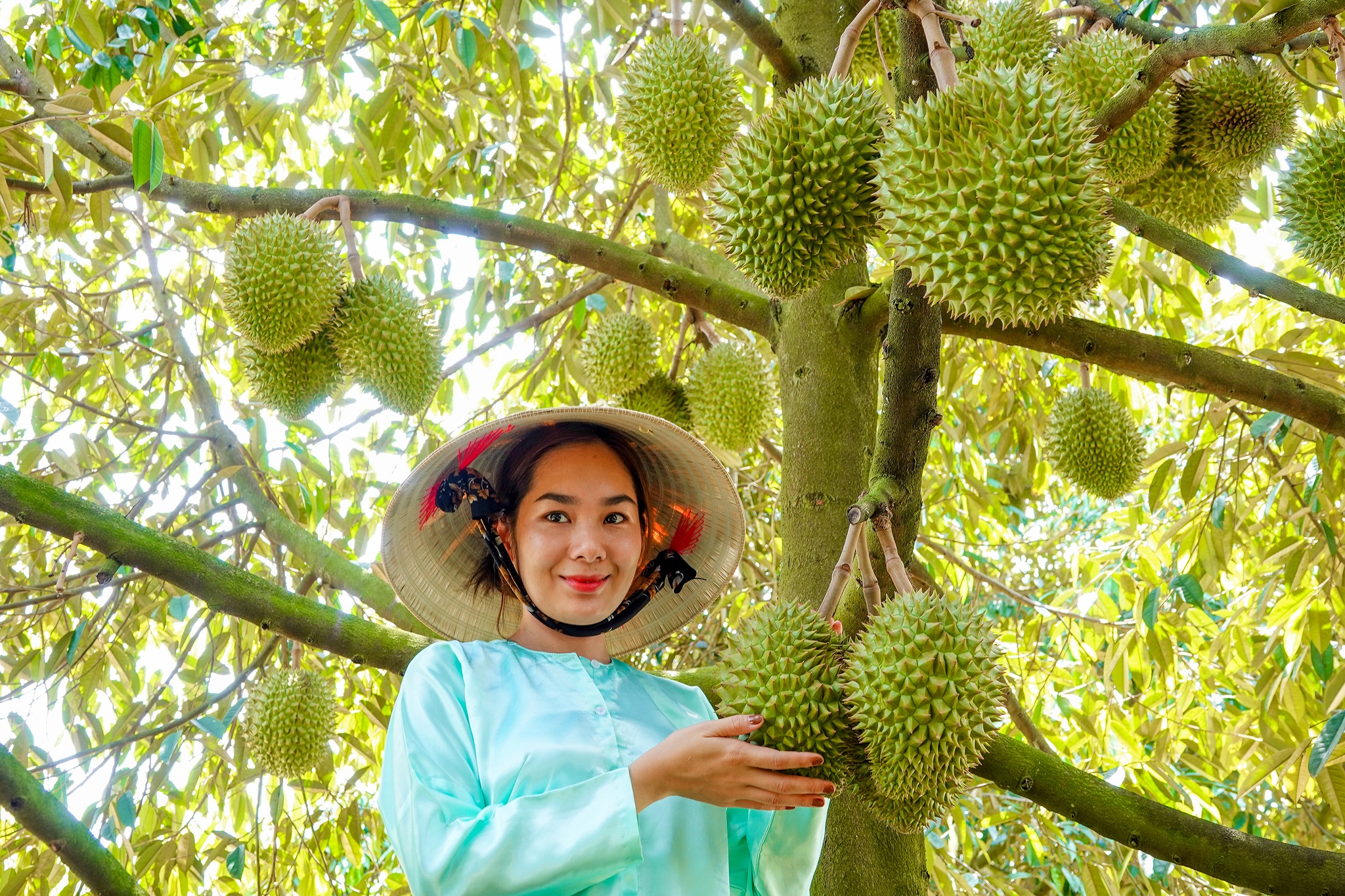 Trái SầU Riêng