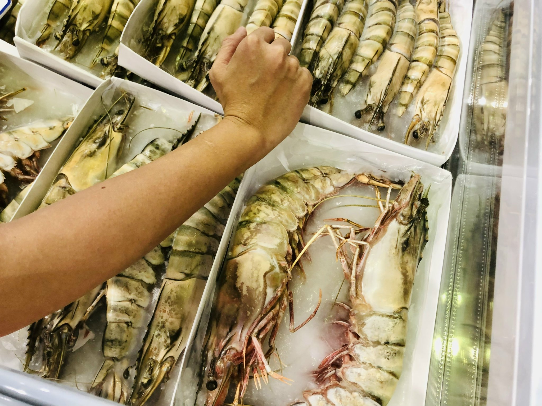 Ngắm 'Cụ' Tôm Sú Khổng Lồ Ở Triển Lãm Vietfish