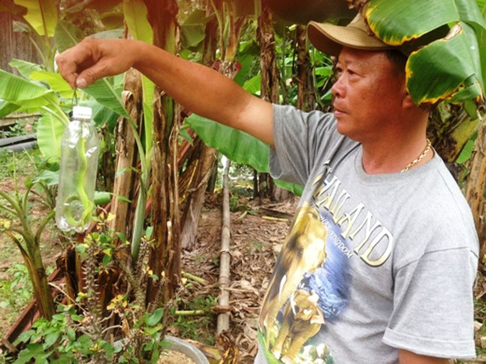 Ông Đạo mang con rắn lục đuôi đỏ khống chế được đi tuyên truyền giúp bà con hòng ngừa - Ảnh: Đình Toàn