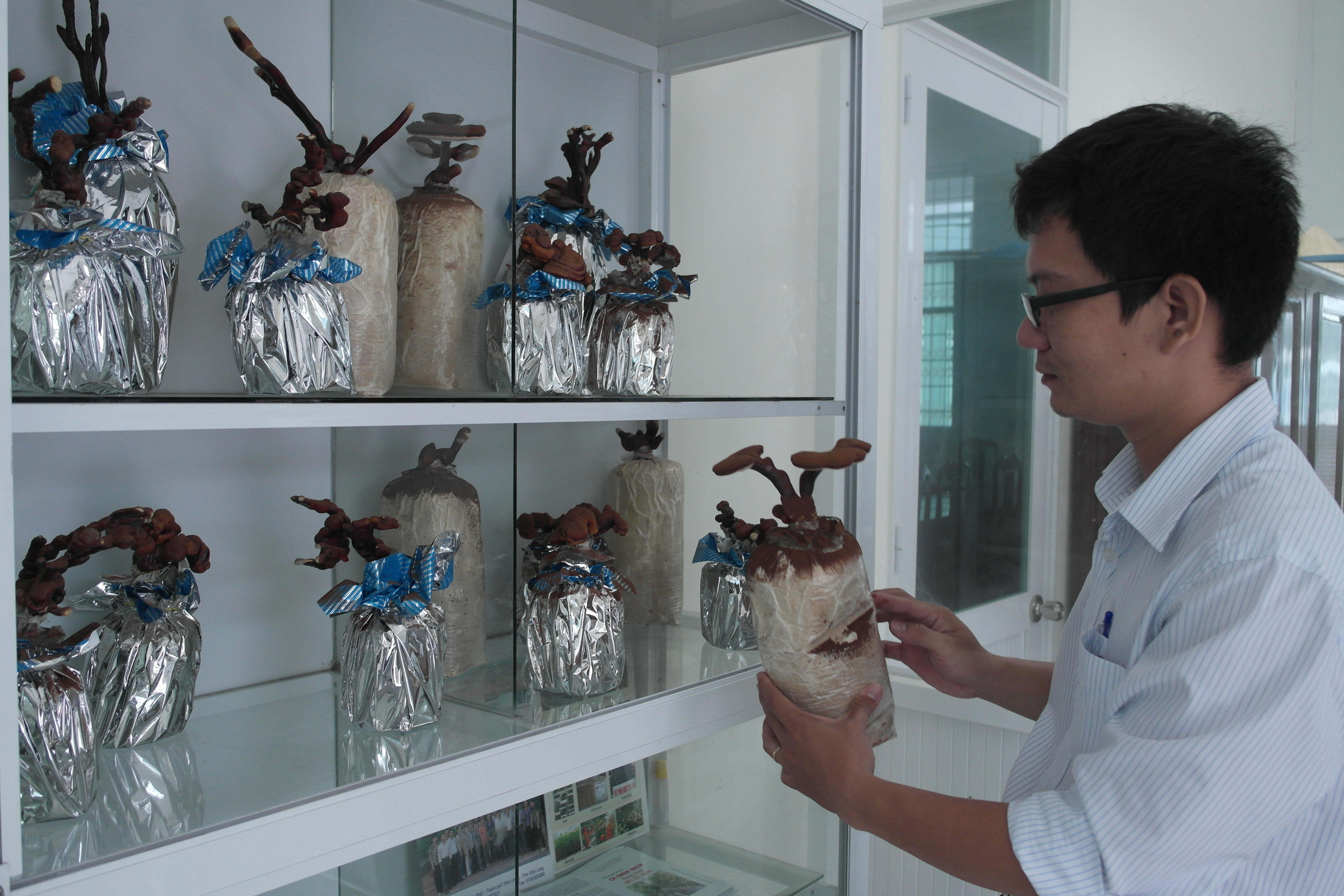 Kỹ sư Khắc bên kiểng bonsai nấm linh chi - Ảnh: Thanh Đức