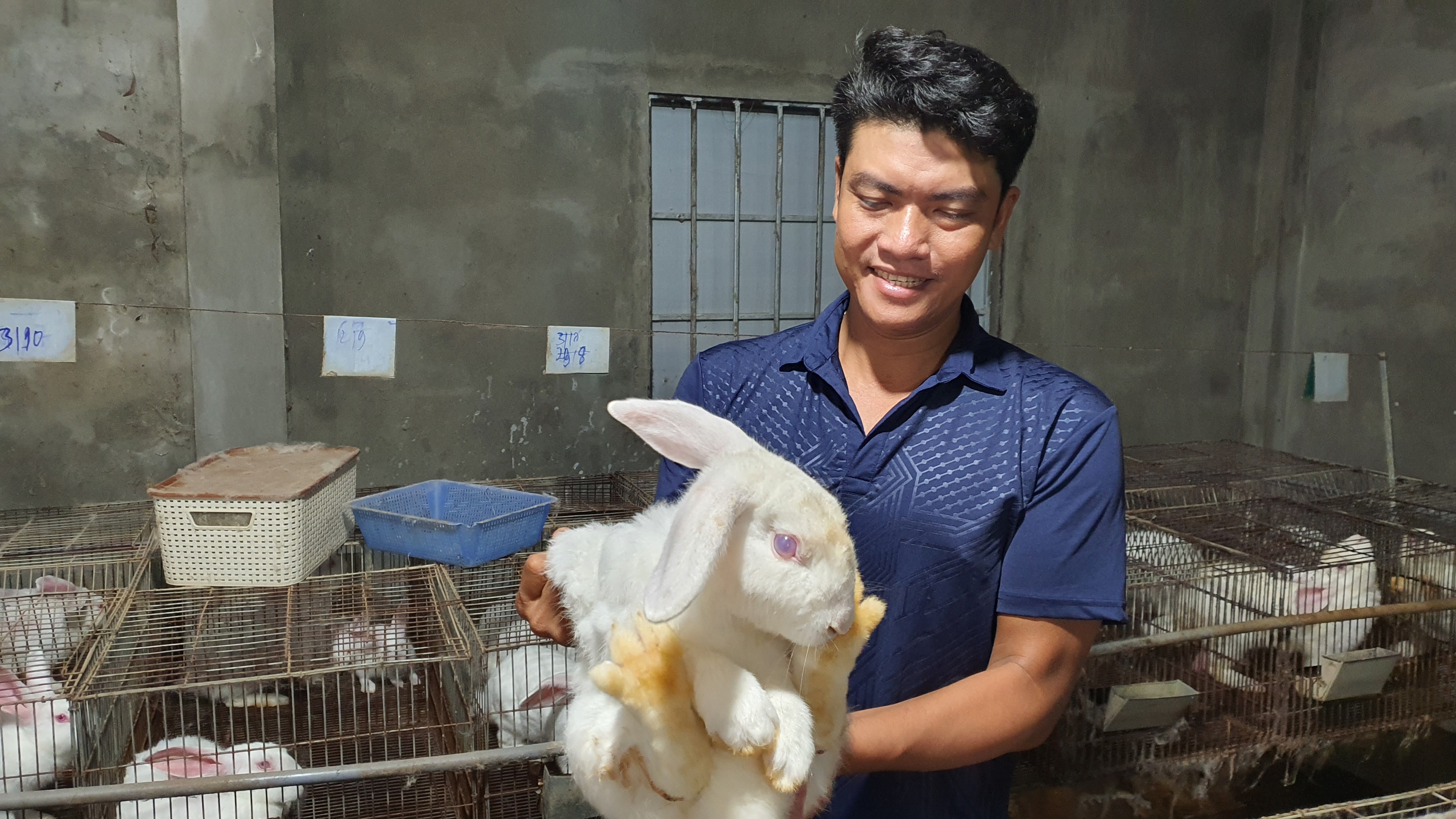 Hiệu quả mô hình nuôi thỏ thương phẩm  Báo Đồng Khởi Online