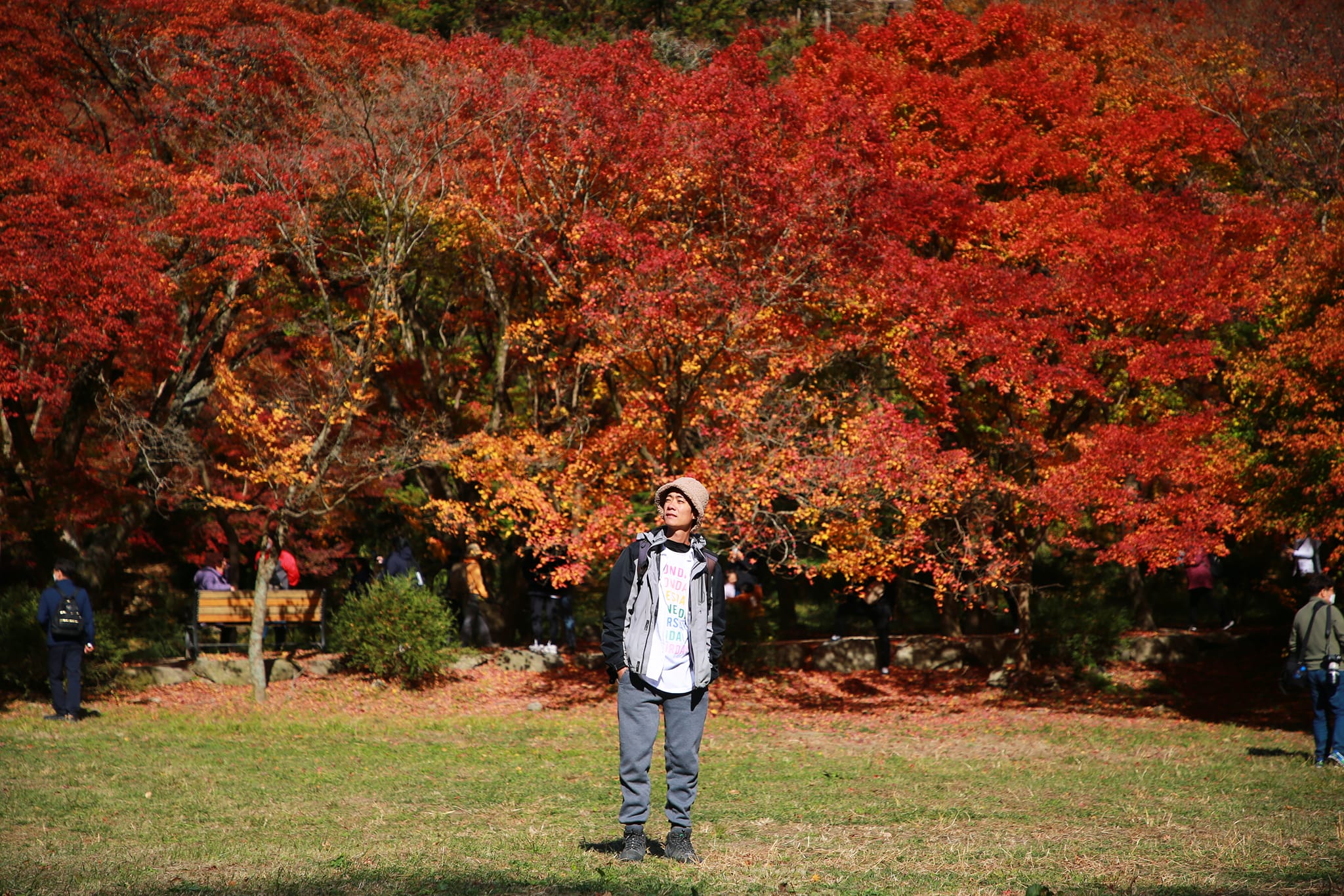 Những điểm đến mùa thu đẹp nhất ở Nhật Bản
