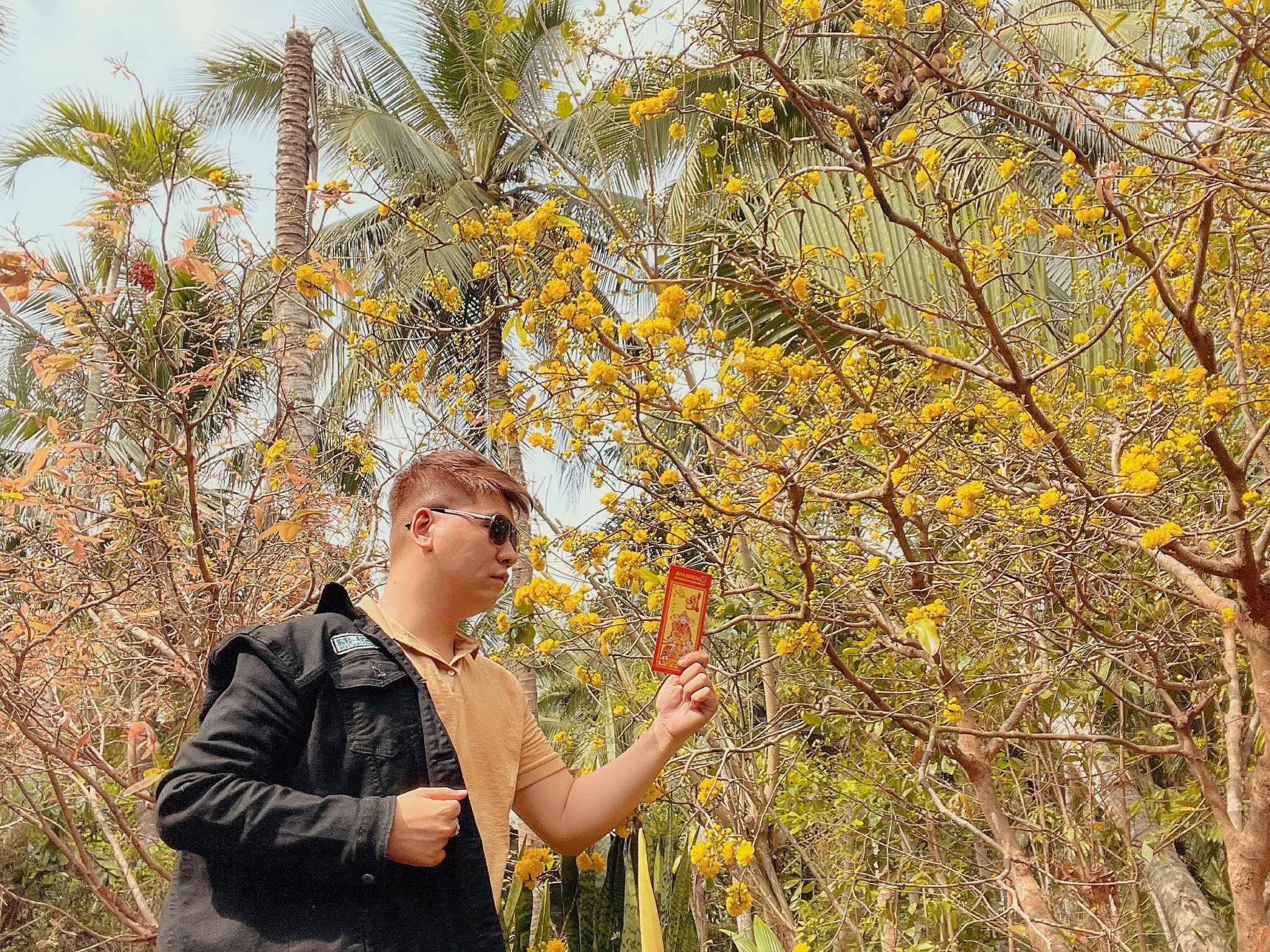 Đi 'săn' những hoa mai 150 cánh vàng nở rực tuyệt đẹp