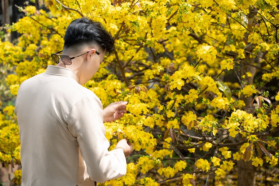 Đi 'săn' những hoa mai 150 cánh vàng nở rực tuyệt đẹp