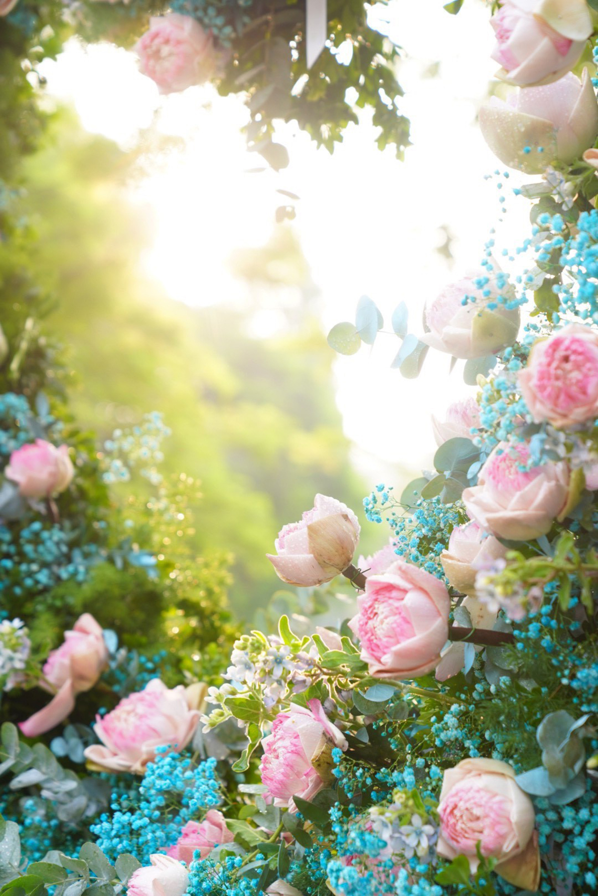 Hoa sen Hà Nội mùa Vu Lan với những cánh hoa trắng tinh khôi mang đến cho người xem cảm giác thanh tịnh và thăng hoa tâm spirit. Cùng xem bức ảnh hoa sen Hà Nội để trải nghiệm không khí Vu Lan trang nghiêm và thiêng liêng.