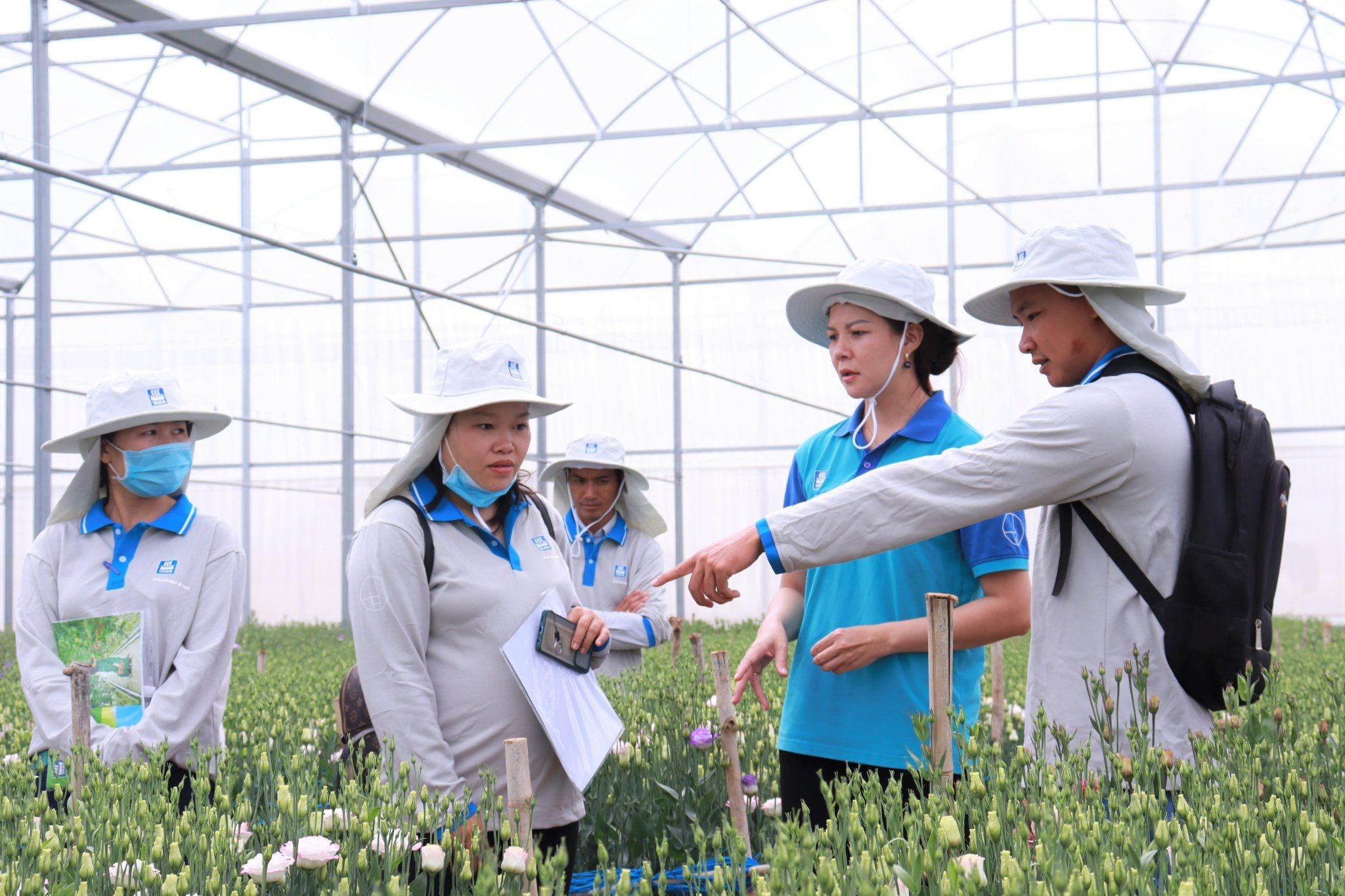 Phú Quốc phát triển mô hình nông nghiệp sinh thái gắn với du lịch  Điểm  đến  Vietnam VietnamPlus