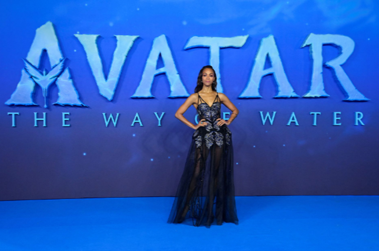 Avatar 2  Phân biệt các định dạng để trải nghiệm phim ảnh hấp dẫn hơn   Divine News