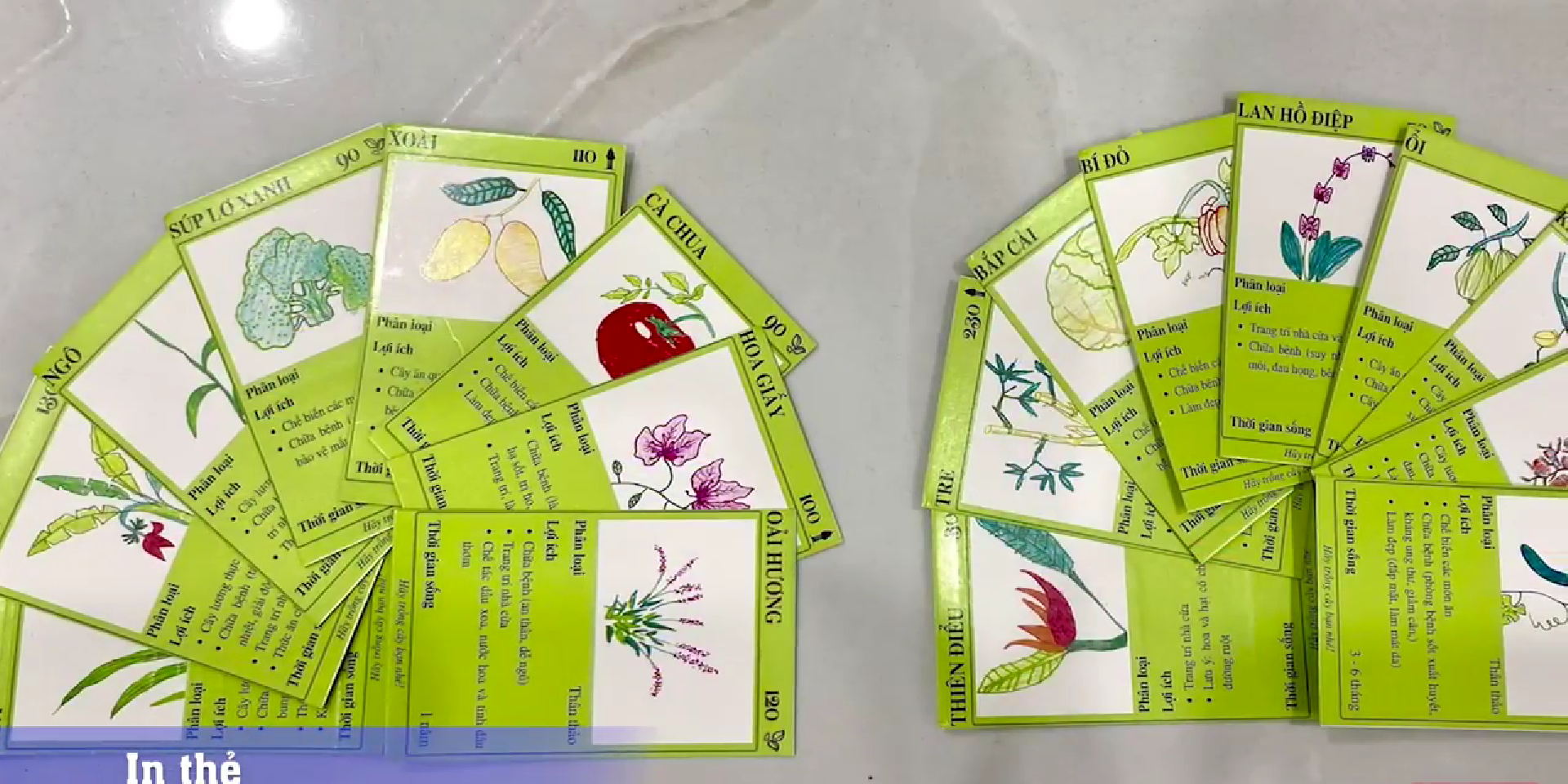 Thẻ bài - Cây xanh là sự kết hợp tuyệt vời giữa sự tự nhiên và trò chơi. Với những tấm thẻ bài được in hình các loại cây xanh đẹp mắt, bạn sẽ được khám phá thêm nhiều loài cây mới và học tập thêm kiến thức về chúng. Hãy xem hình ảnh về thẻ bài - cây xanh để tận hưởng sự kết hợp hoàn hảo này.