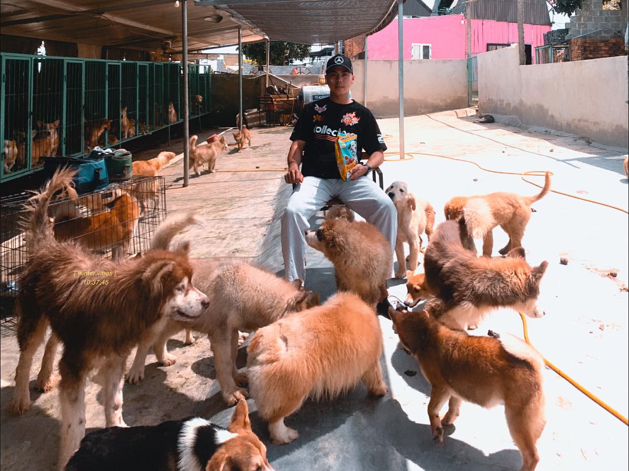 Những chú chó được giải cứu khỏi trang trại nuôi lấy thịt ở Hàn Quốc  BBC  News Tiếng Việt