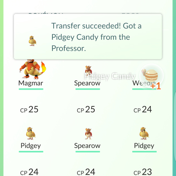 Tuyển tập các bí kíp hóa thần trong Pokemon Go (Phần 1)