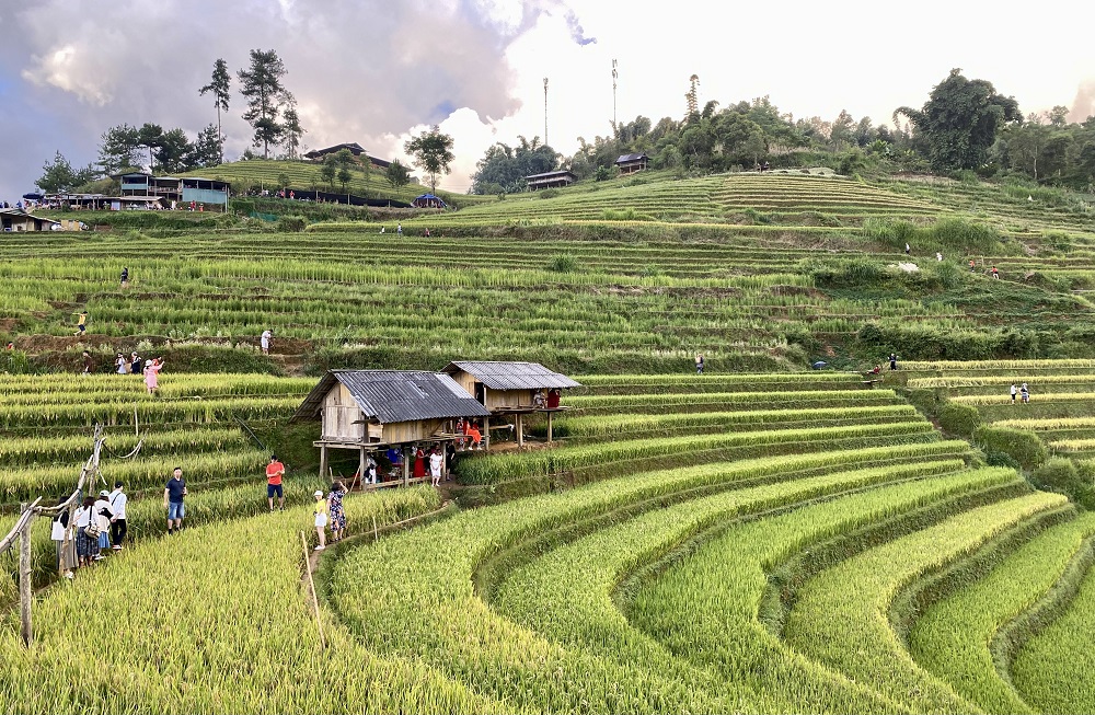 Đừng bỏ lỡ ngắm ruộng bậc thang đẹp nhất thế giới ở Mù Cang Chải