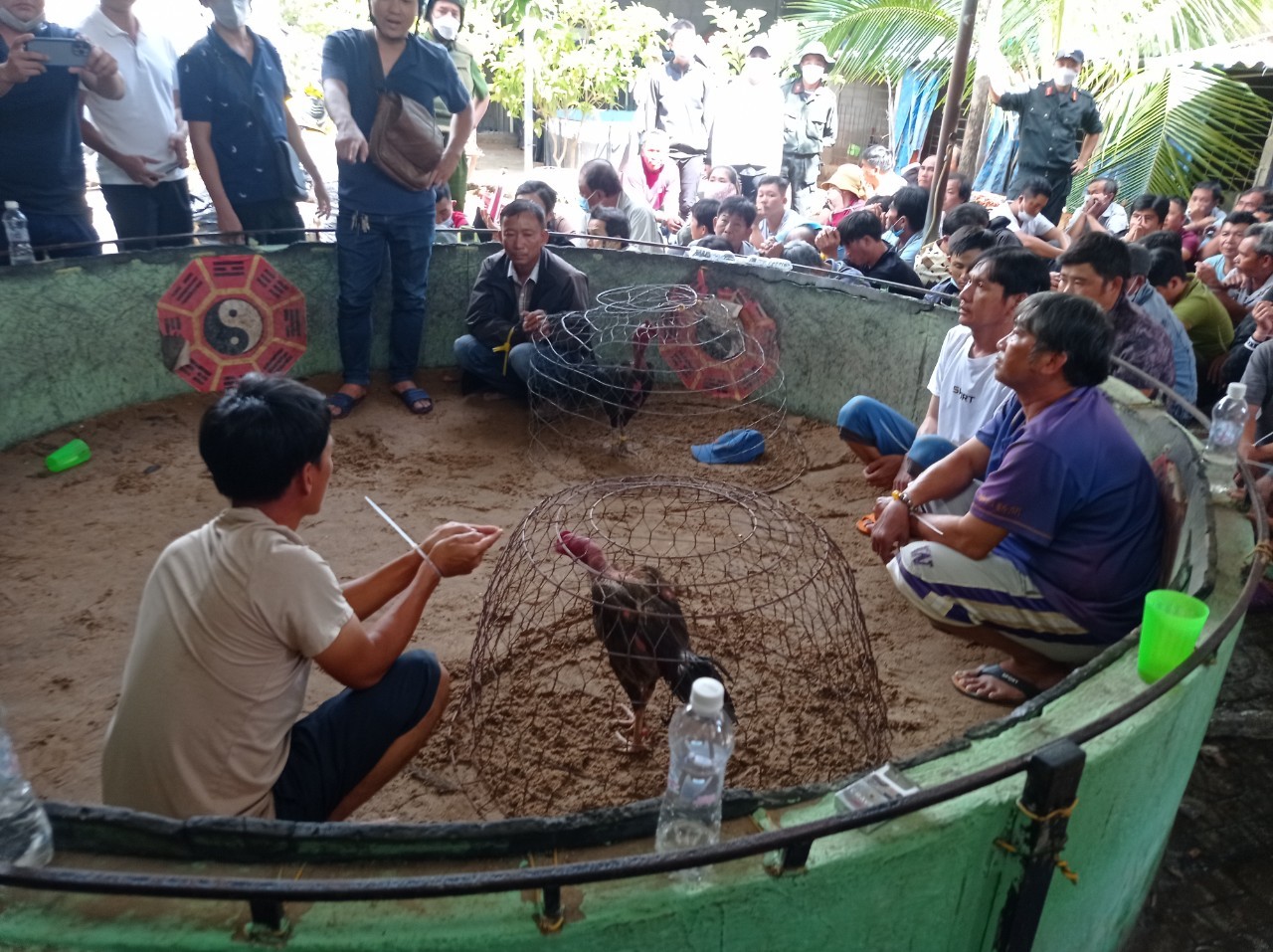 Bình Thuận Cảnh sát bao vây trường gà 'khủng', bắt giữ khoảng 70 người