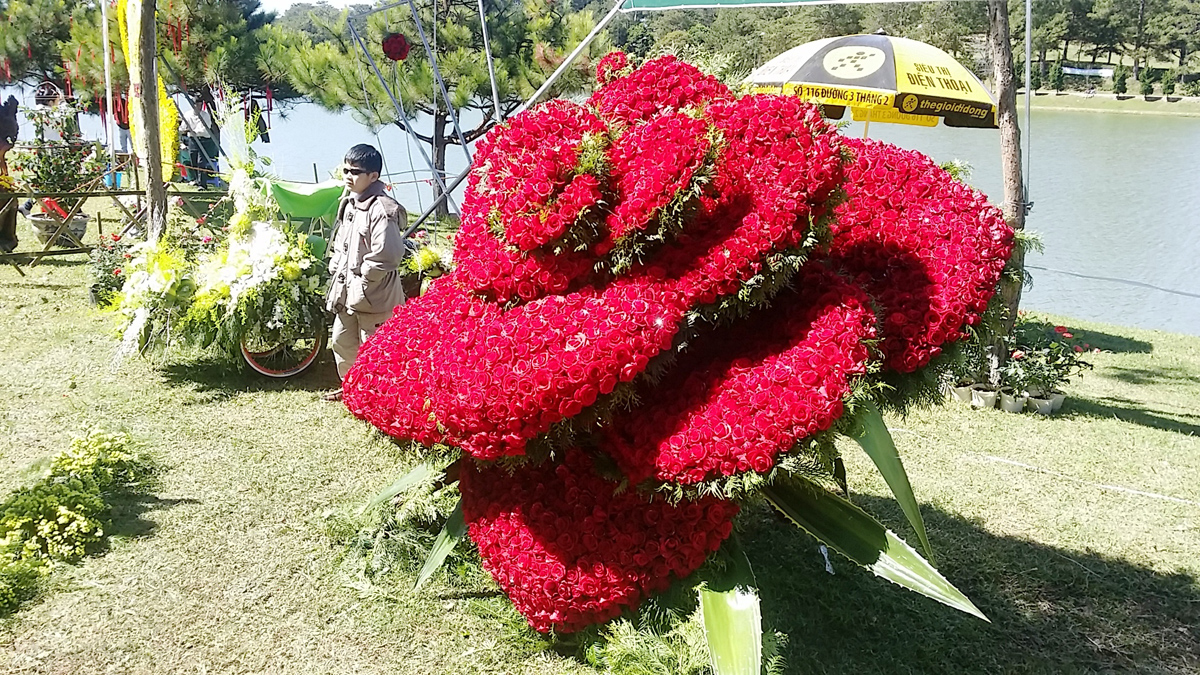 Hàng Trăm Ngàn Du Khách Đến Festival Hoa Đà Lạt