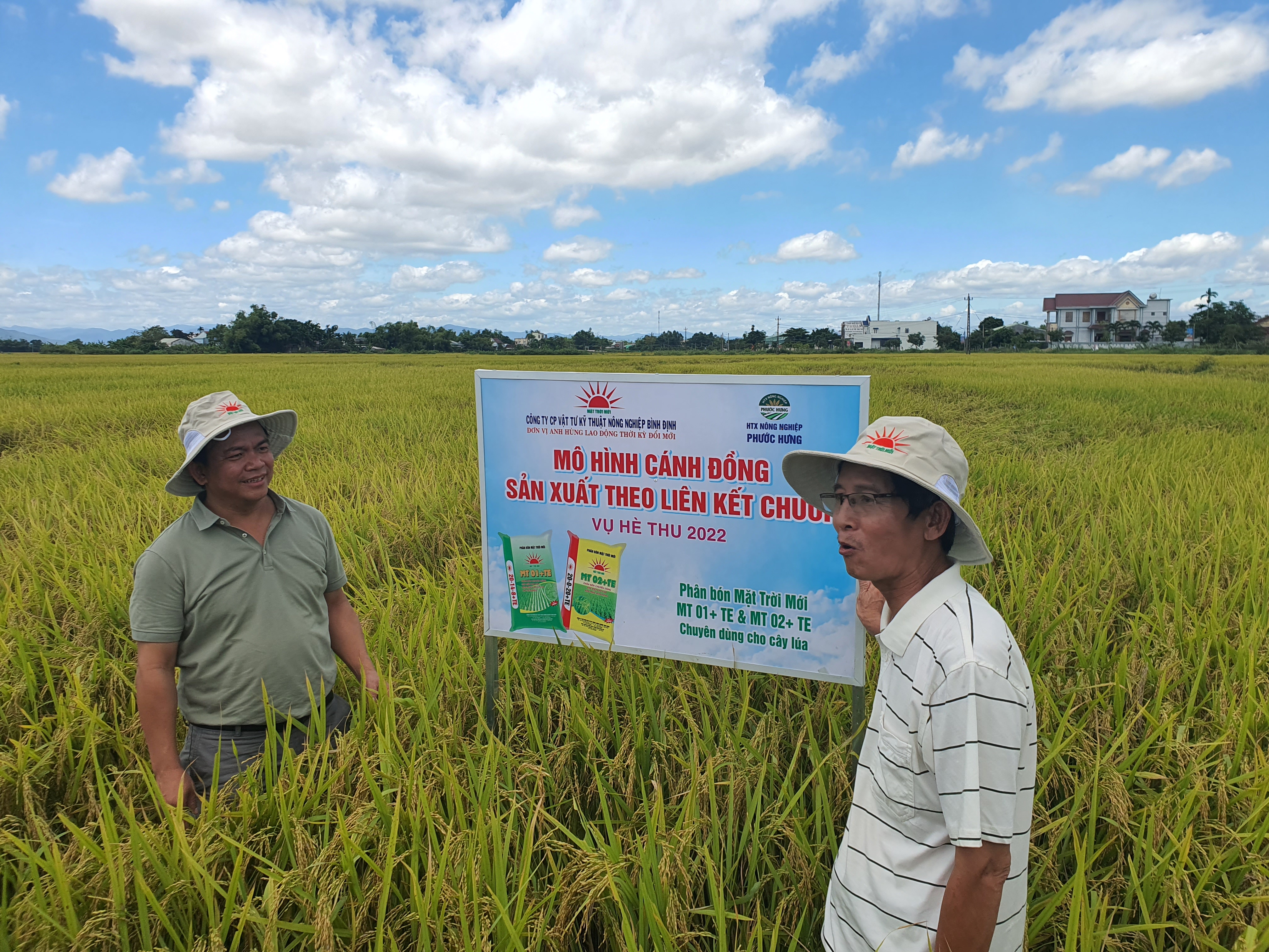 Gạo Việt Nam khẳng định vị thế nhờ giải pháp sản xuất bền vững