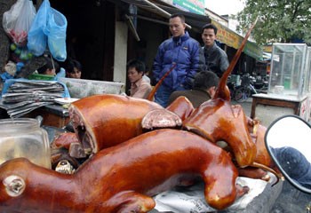 Du lịch Việt Nam là cơ hội để khám phá những đặc sản ẩm thực độc đáo như thịt cầy. Hãy đến với hình ảnh liên quan đến từ khóa này để tìm hiểu về cách sử dụng và chế biến thịt cầy, cùng những trải nghiệm đầy thú vị khi tìm kiếm món ăn này tại Việt Nam.