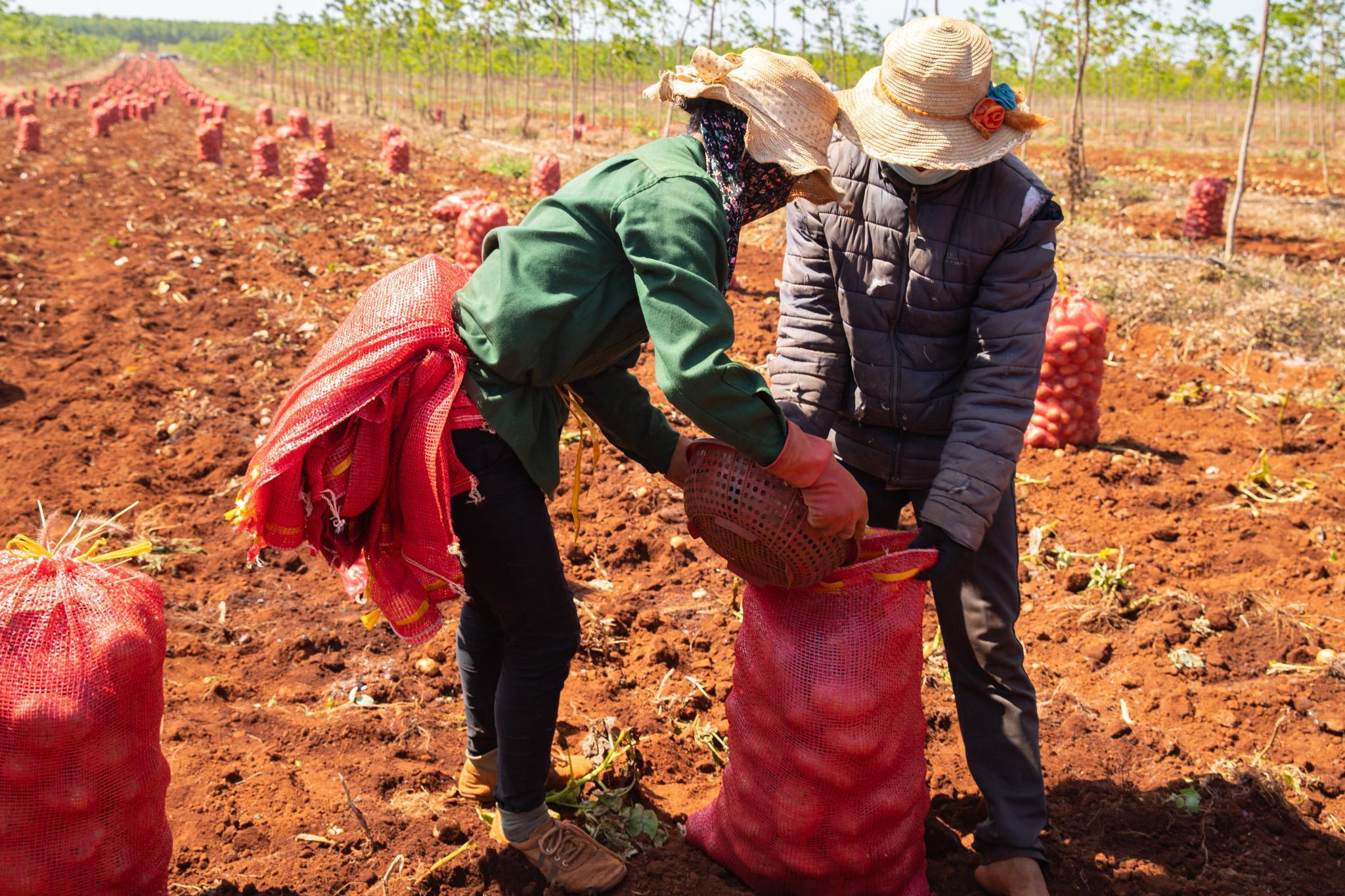 Cùng PepsiCo Foods trao yêu thương - Vì mình là người Việt - EU-Vietnam ...