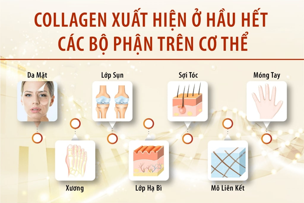 Vì sao nên chọn thành phần collagen từ da cá trong làm đẹp?