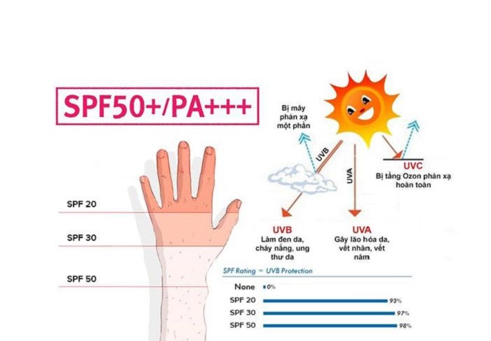 Chỉ số SPF và PA trong kem chống nắng là gì và cách lựa chọn phù hợp