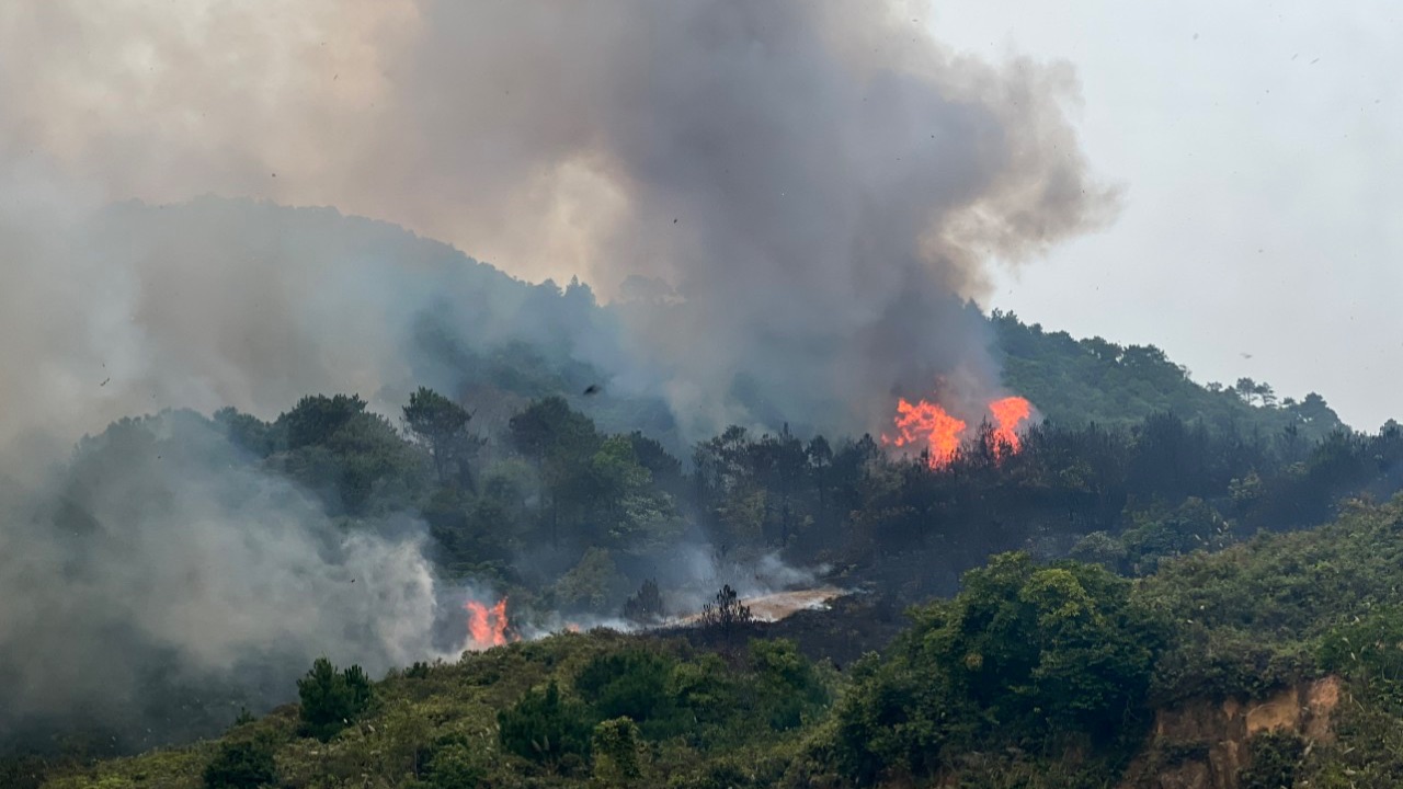 Quảng Ninh: Cháy rừng trên đảo Vĩnh Thực