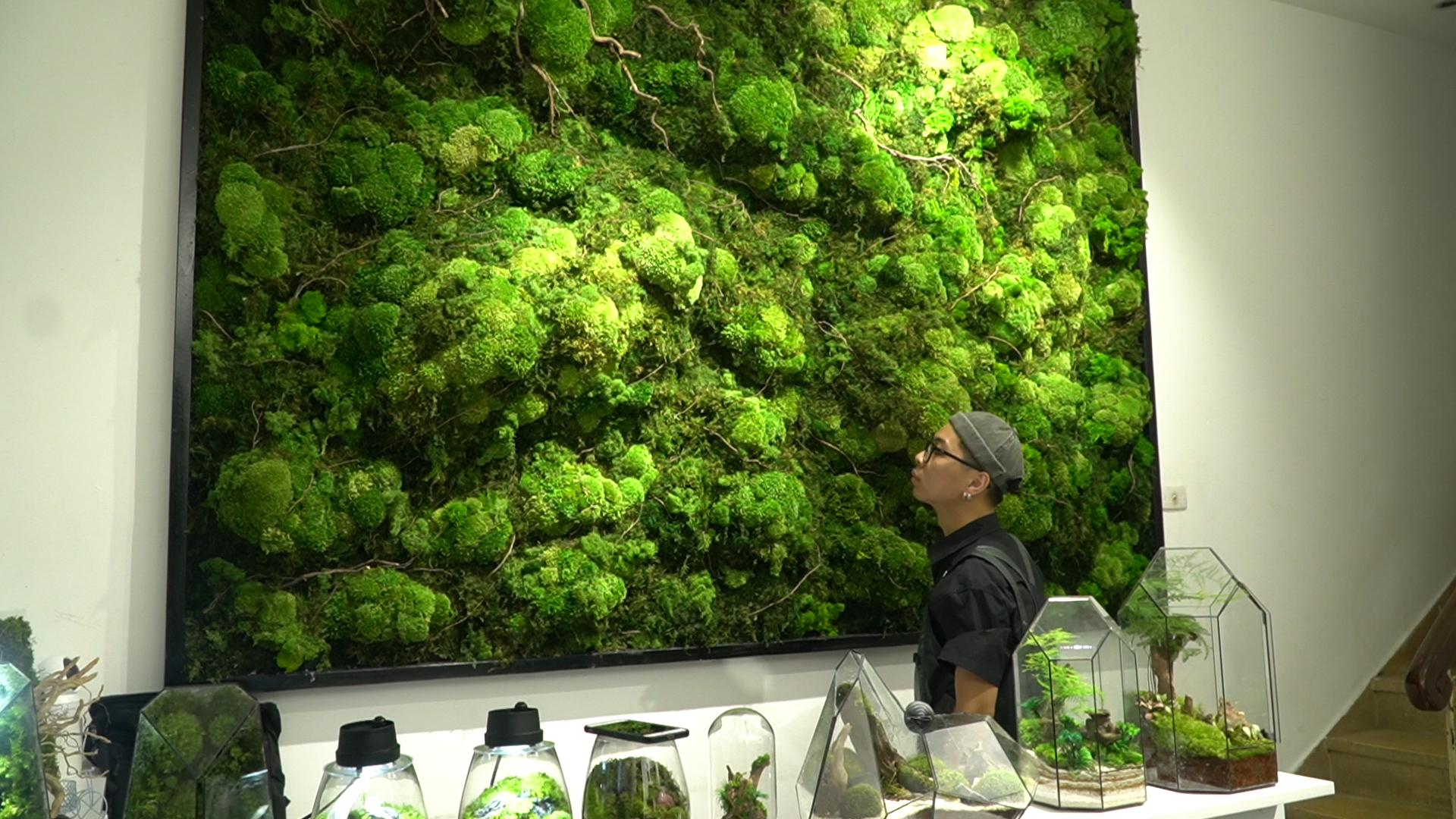 Cận cảnh những bức tranh rêu “10 năm không tưới vẫn xanh” giá bạc triệu