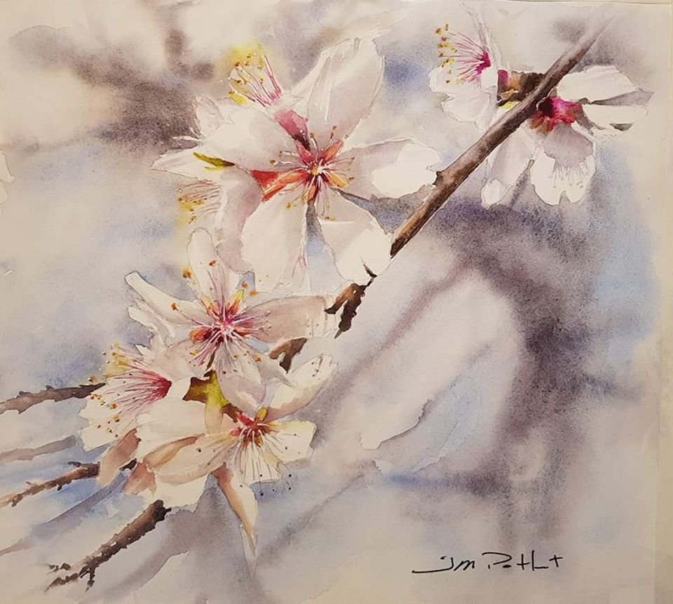 Học cách vẽ Tranh vẽ hoa đào hoa mai để tạo ra một tác phẩm nghệ thuật độc đáo