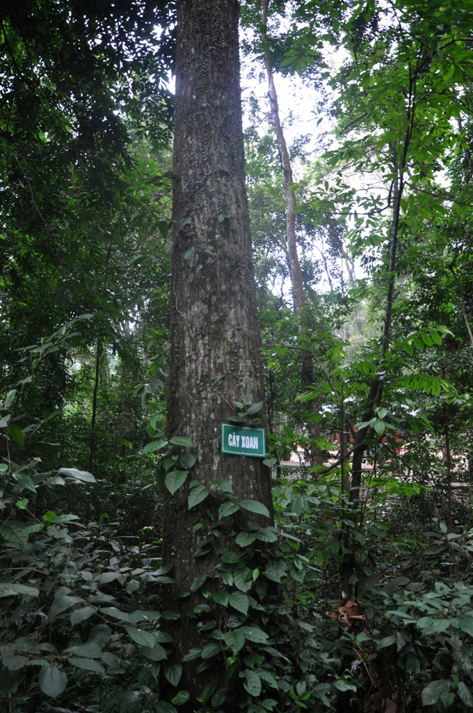 rung-tran-hung-dao-noi-thanh-lap-quan-doi-nhan-dan-viet-nam