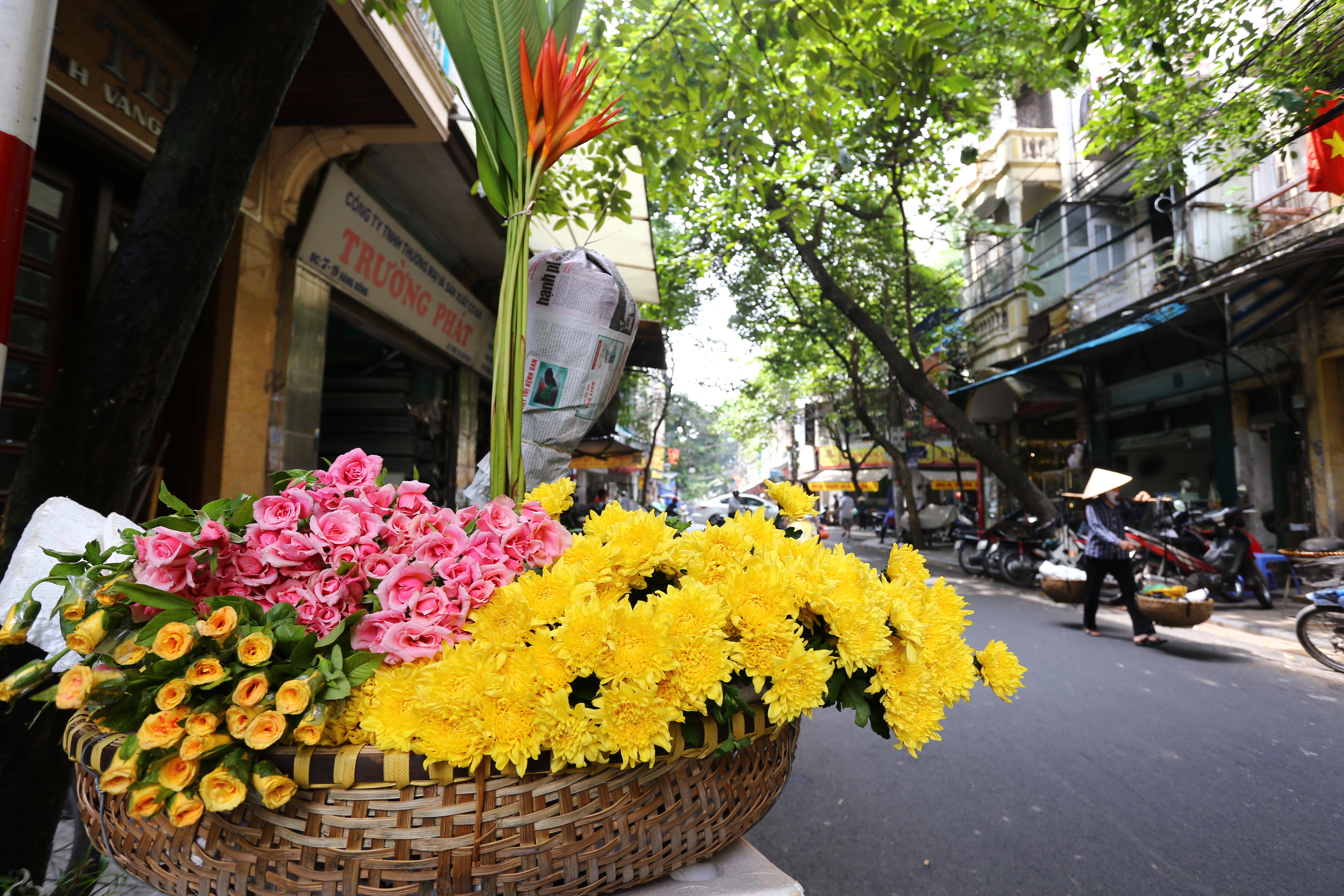 Những hình ảnh ngọt ngào mùa thu Hà Nội