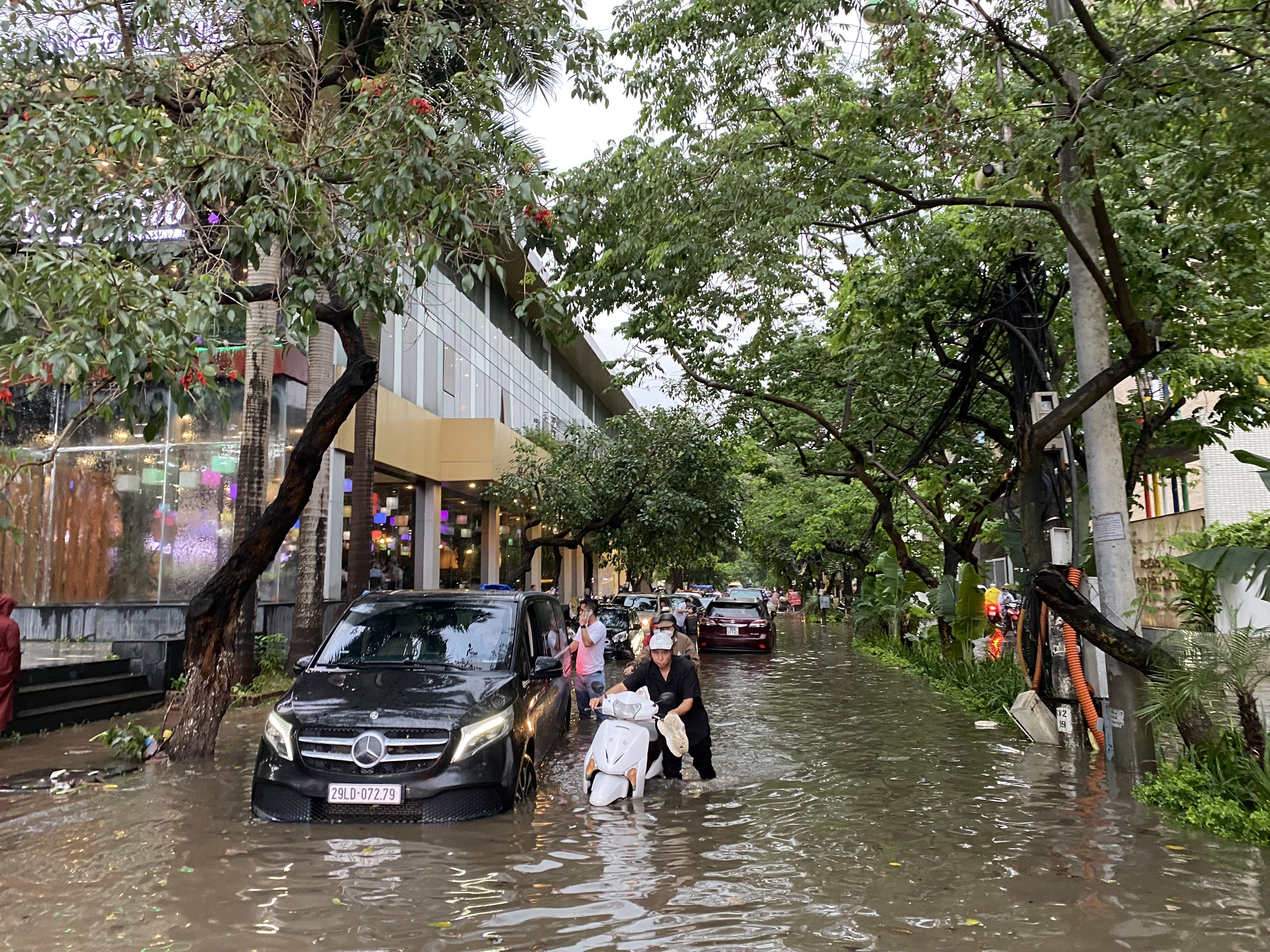 Điều gì có thể tuyệt vời hơn khi bạn đi dạo trong mưa đường phố Hà Nội đầy lãng mạn? Hãy để hình ảnh này giúp bạn tận hưởng những cảm xúc đó mà không gặp khó khăn về thời tiết.