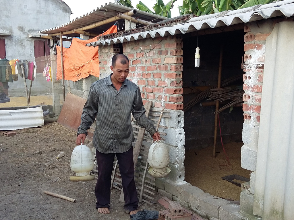Từ ngày 7.10, gia cầm nhà ông Nguyễn Khánh Thiện ở xã Hiển Khánh đã được xác định nhiễm H5N6 và bị tiêu hủy hoàn toàn - Ảnh: Văn Đông