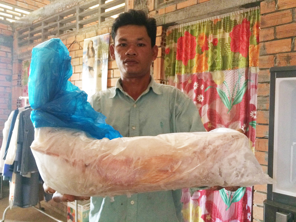 Ngư dân Nguyễn Văn Phụng và con cá nghi cá sủ có màu vàng lạ được anh cấp đông - Ảnh: Thanh Đức