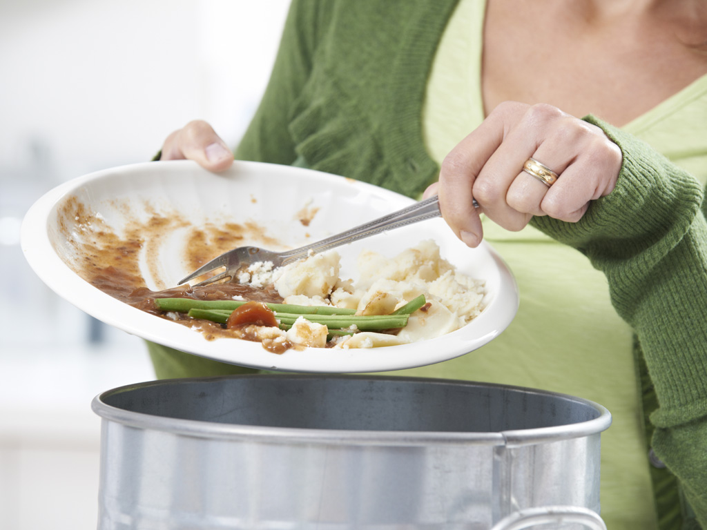 Sự tăng trưởng của vi khuẩn trong thức ăn thừa có thể gây khó tiêu cũng như các vấn đề về tiêu hóa khác -  Ảnh: Shutterstock