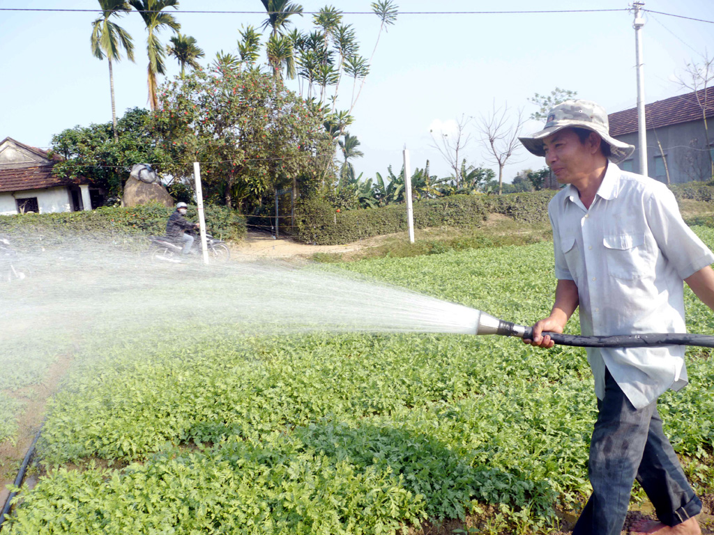 Ông Nguyễn Quốc Thành tưới nước cho vườn rau của mình - Ảnh: Hoàng Trọng