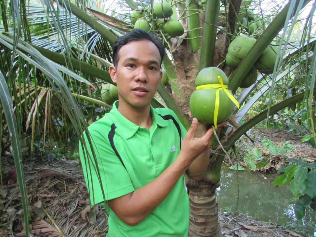 Người bí ẩn' hô biến trái dừa thành dừa hồ lô