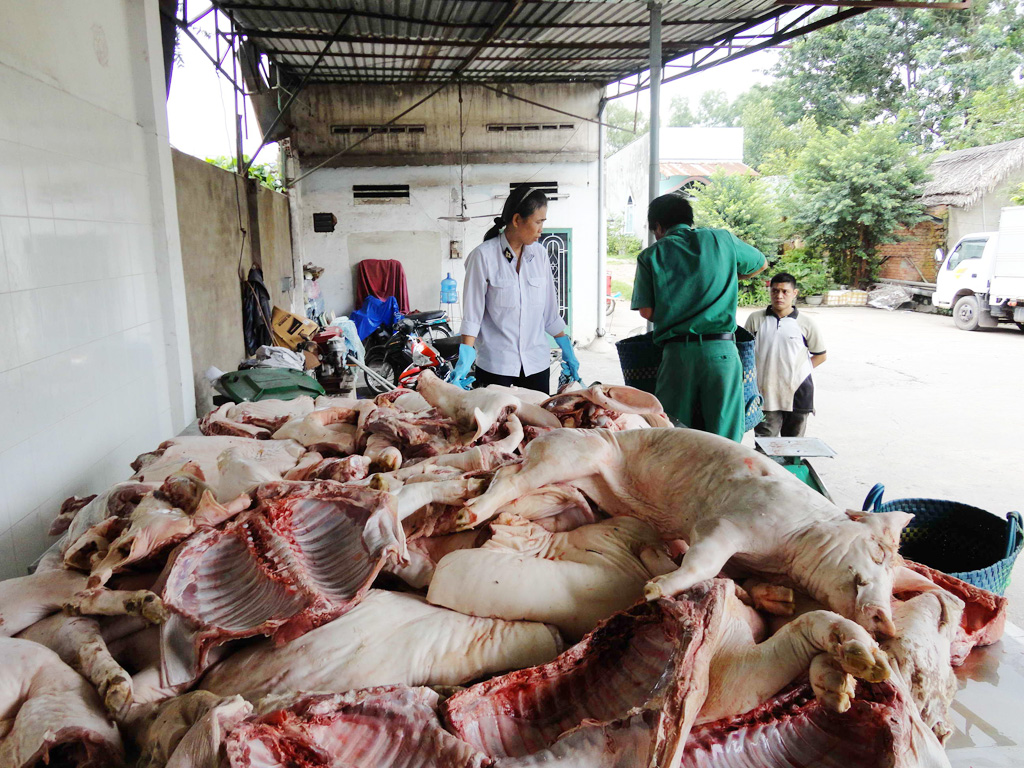 Thịt bẩn vận chuyển về TP.HCM tiêu thụ bị Trạm kiểm dịch động vật Thủ Đức phát hiện, ngăn chặn - Ảnh: hoàng việt