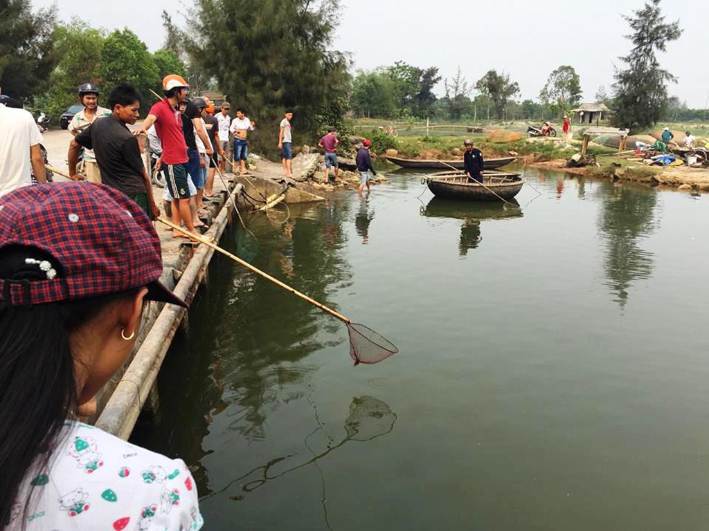 Người dân xã Lộc Vĩnh (H.Phú Lộc, Thừa Thiên – Huế) tập trung về sông Phú Hải để vớt cá tự nhiên trong sáng 17.4 - Ảnh: Đình Toàn
