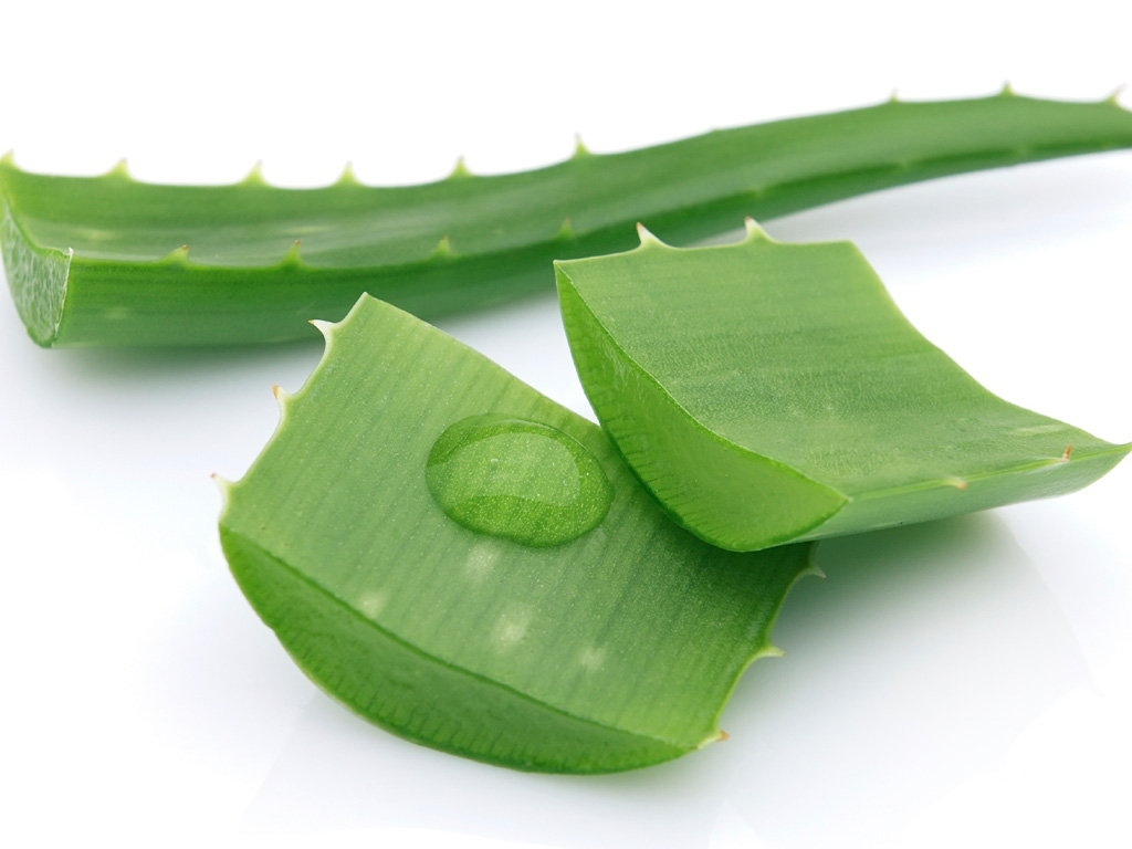 Bí quyết dùng lô hội để giảm cân