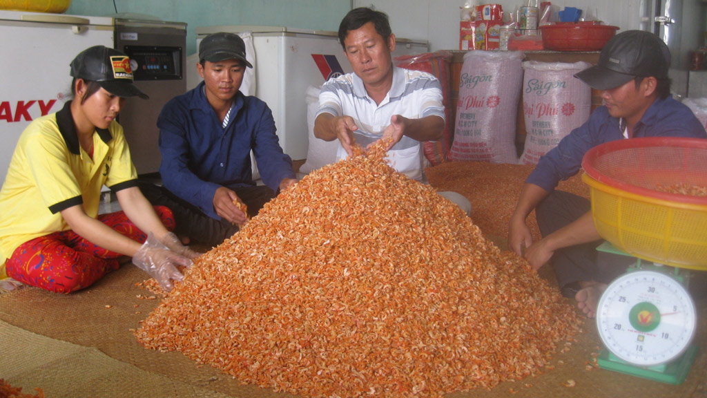 Sản xuất tôm khô bán tết ở xã Đông Hải (H.Duyên Hải, Trà Vinh)