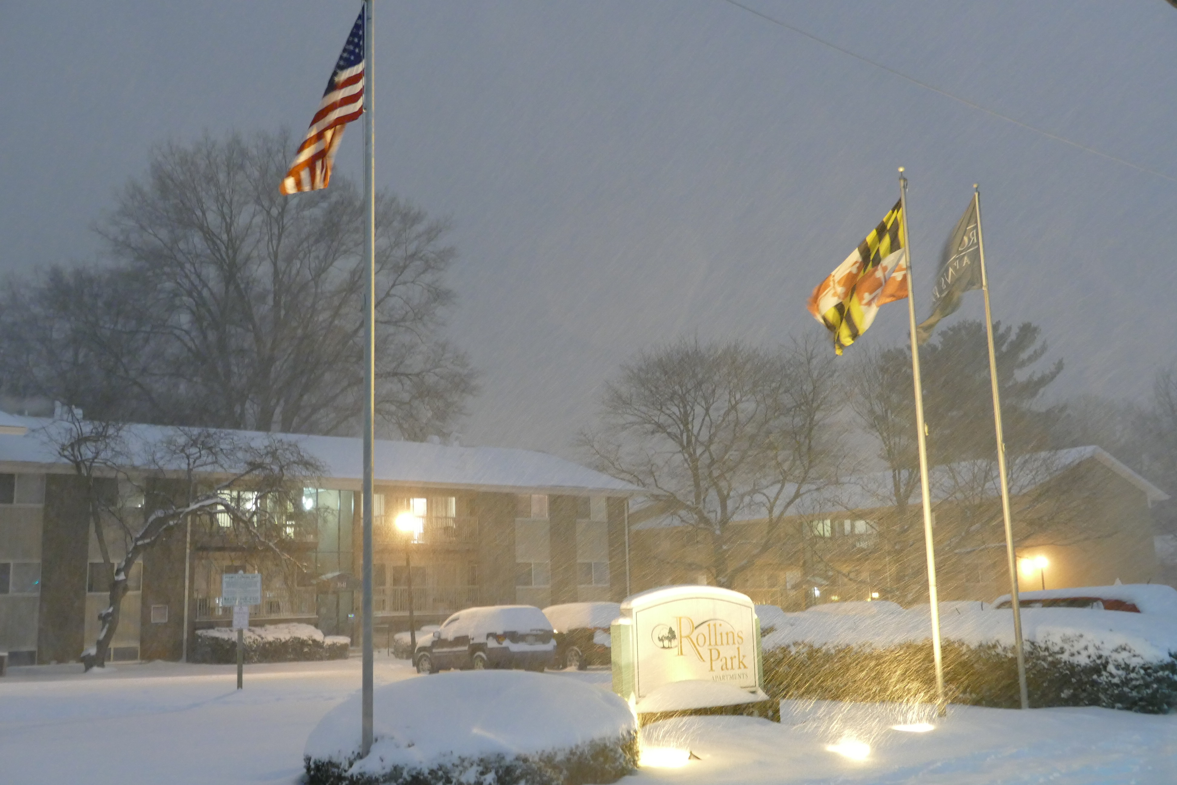 Đến 22 giờ 30 tối 22.1 (giờ Mỹ, tức 9 giờ 30 sáng 23.1 giờ VN) tuyết đã dày 20 cm ở thành phố Rockville, bang Maryland, cách Washington DC gần 30km về phía tây bắc - Ảnh: An Phạm