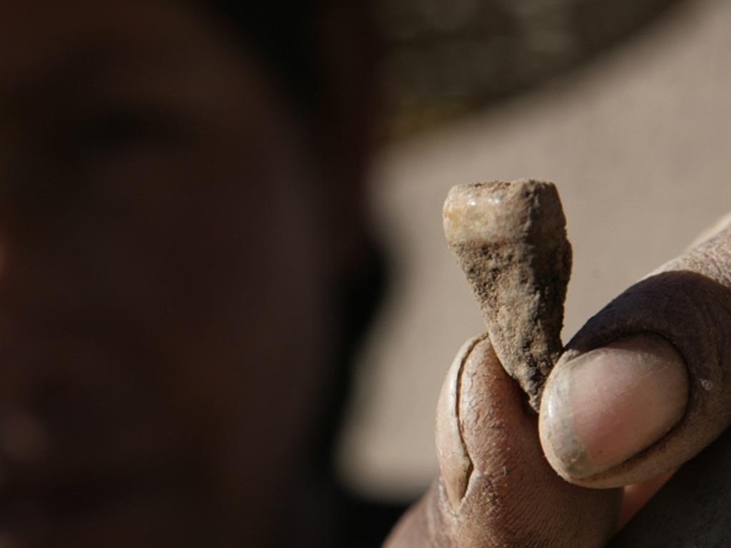 Phát hiện mới về những chiếc răng thách thức các quan niệm cũ về tổ tiên người châu Á - Ảnh: Reuters