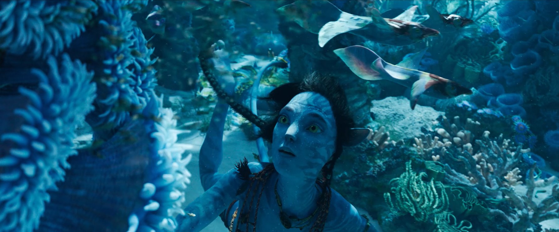 Trailer đầu tiên của Avatar 2 có gần 150 triệu lượt xem chỉ sau ngày đầu  tiên