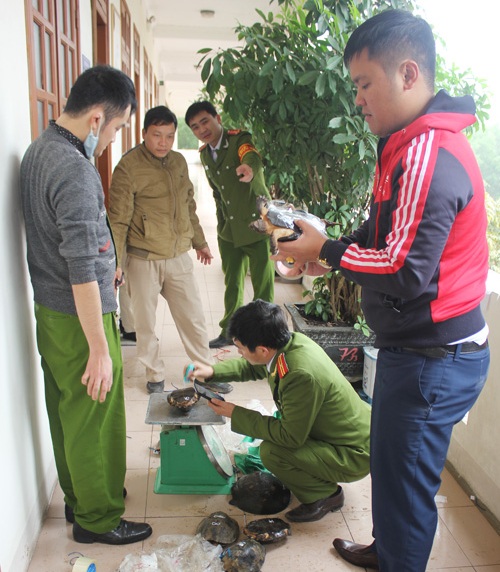 Số tang vật bị cơ quan điều tra tạm giữ - Ảnh: Tân Kỳ