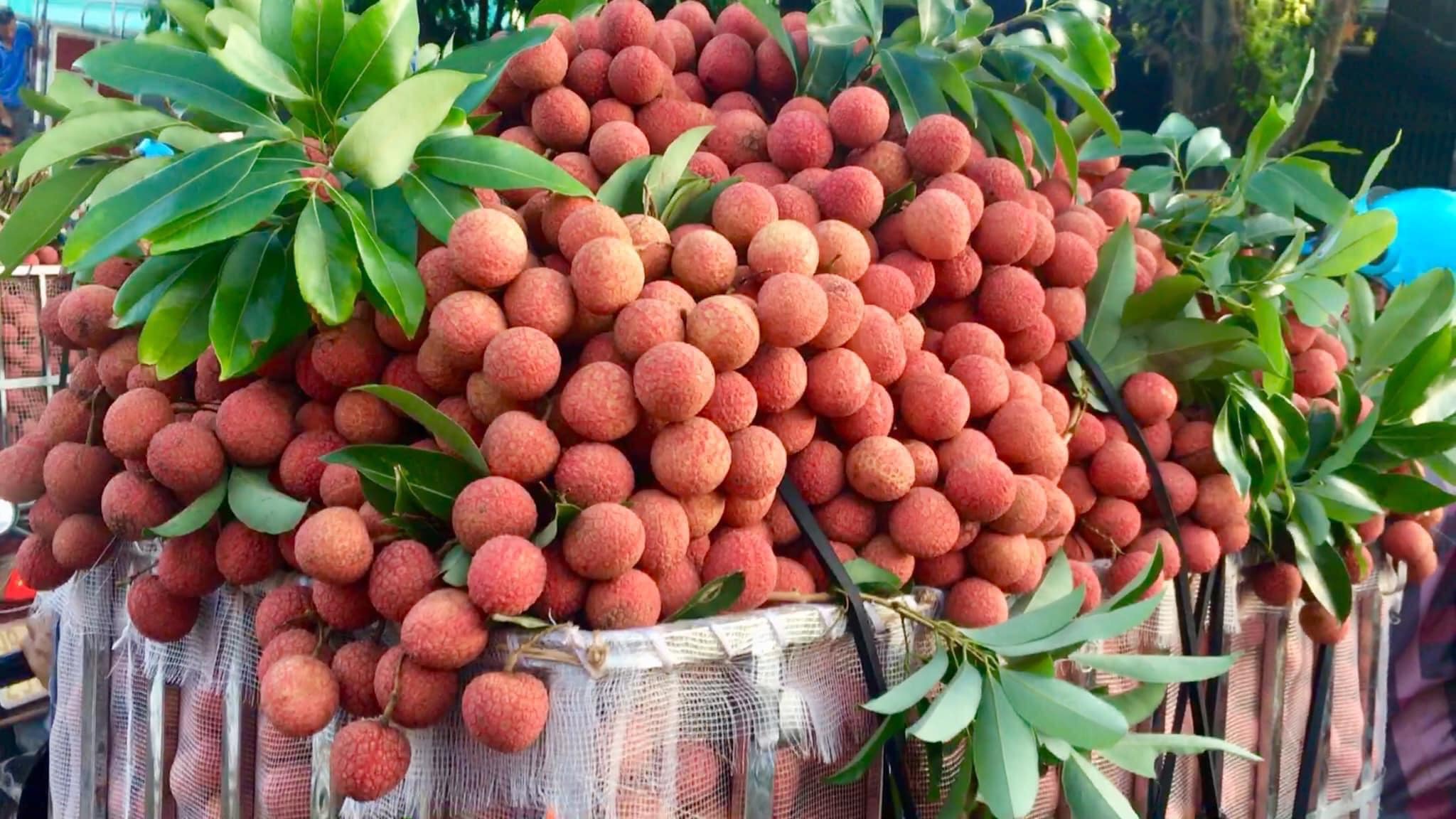 vải không hạt được xuất khẩu sang Nhật Bản và Vương Quốc Anh