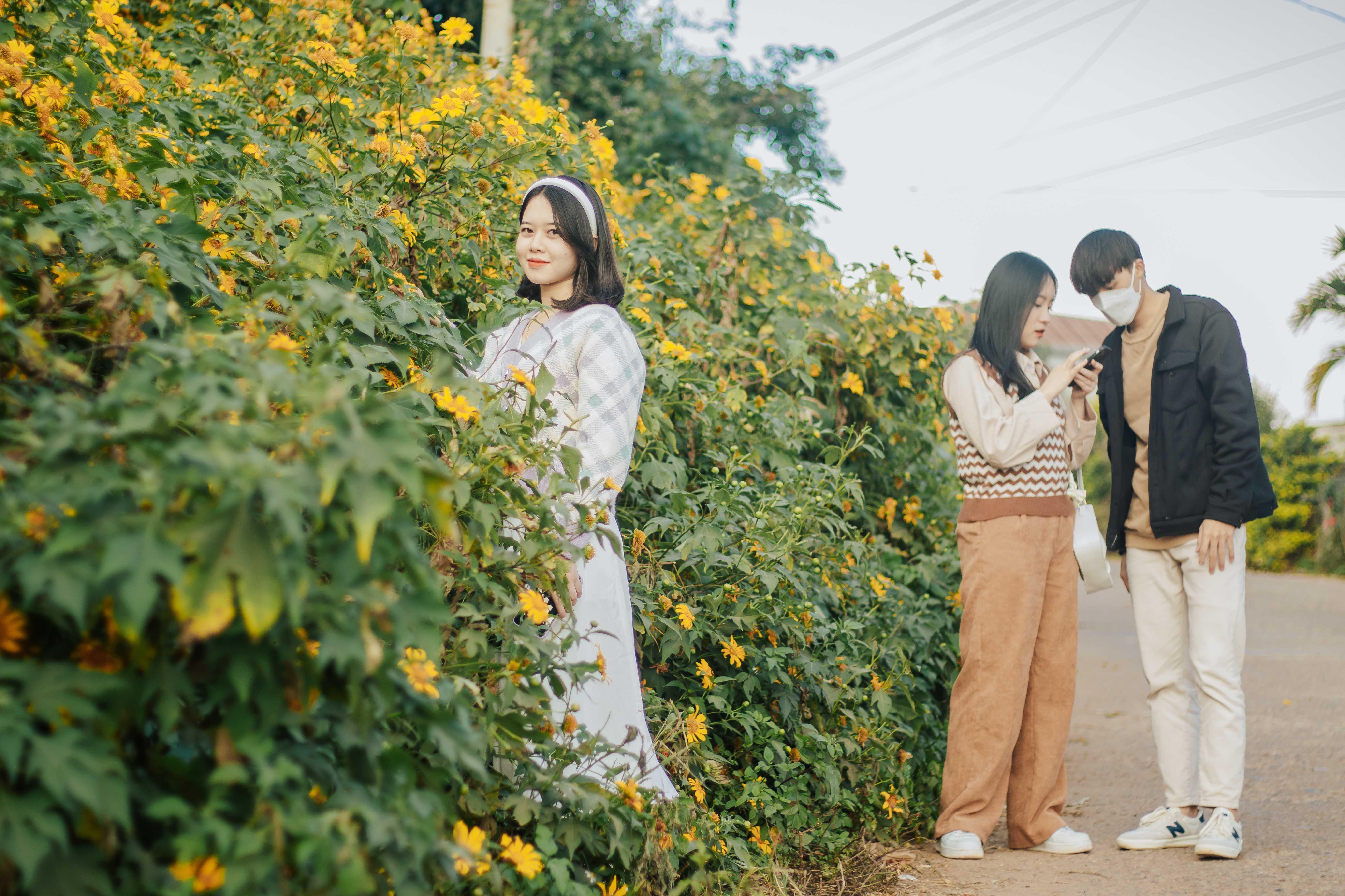 Bạn trẻ mê mẩn \'check-in\' với hoa dã quỳ nở rộ ở miền tây Quảng Trị