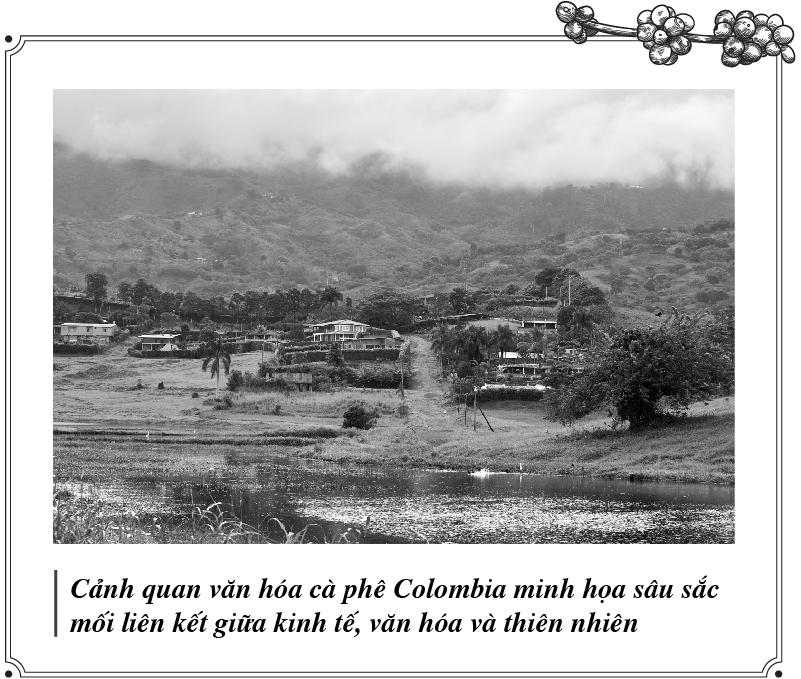 Kỳ 81: Cà phê và con đường thịnh vượng từ nền kinh tế xanh