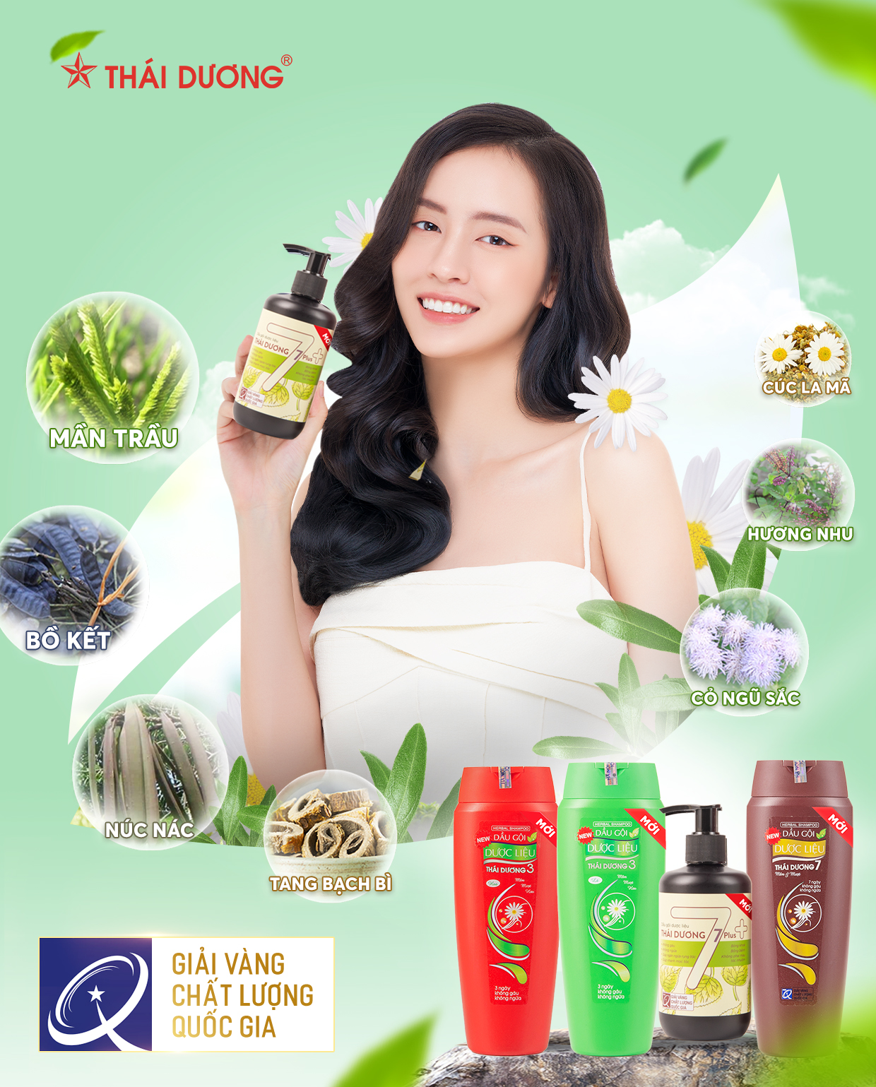 Review thuốc nhuộm tóc Thái Dương liệu có nên cân nhắc mua  websosanhvn