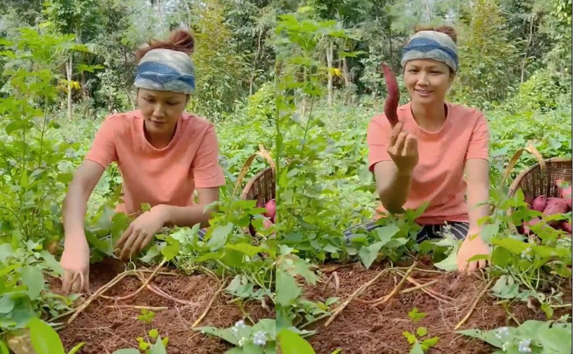 H'Hen Niê gây chú ý bởi hình ảnh giản dị ở quê nhà